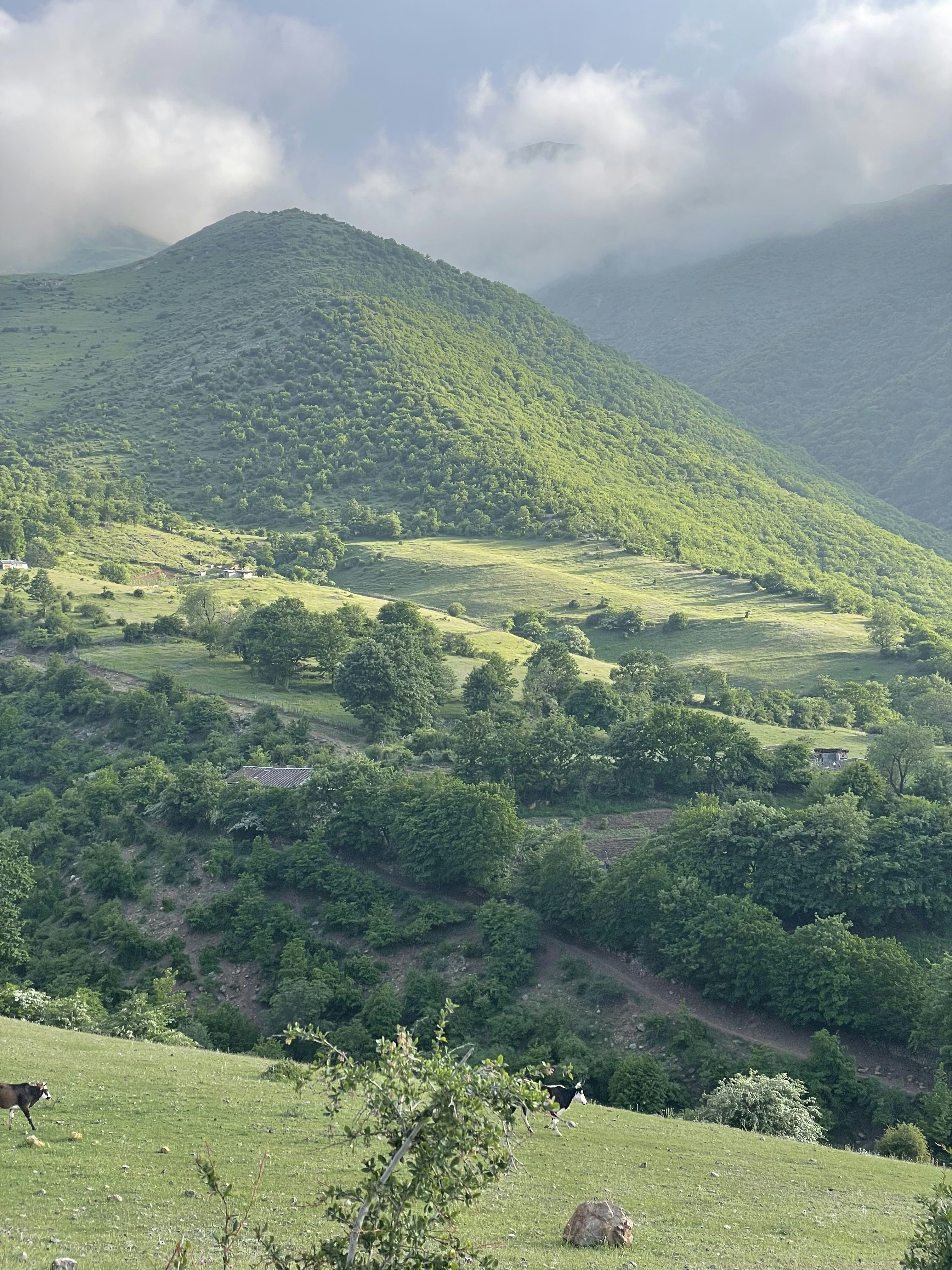 Photo by farshidroohi