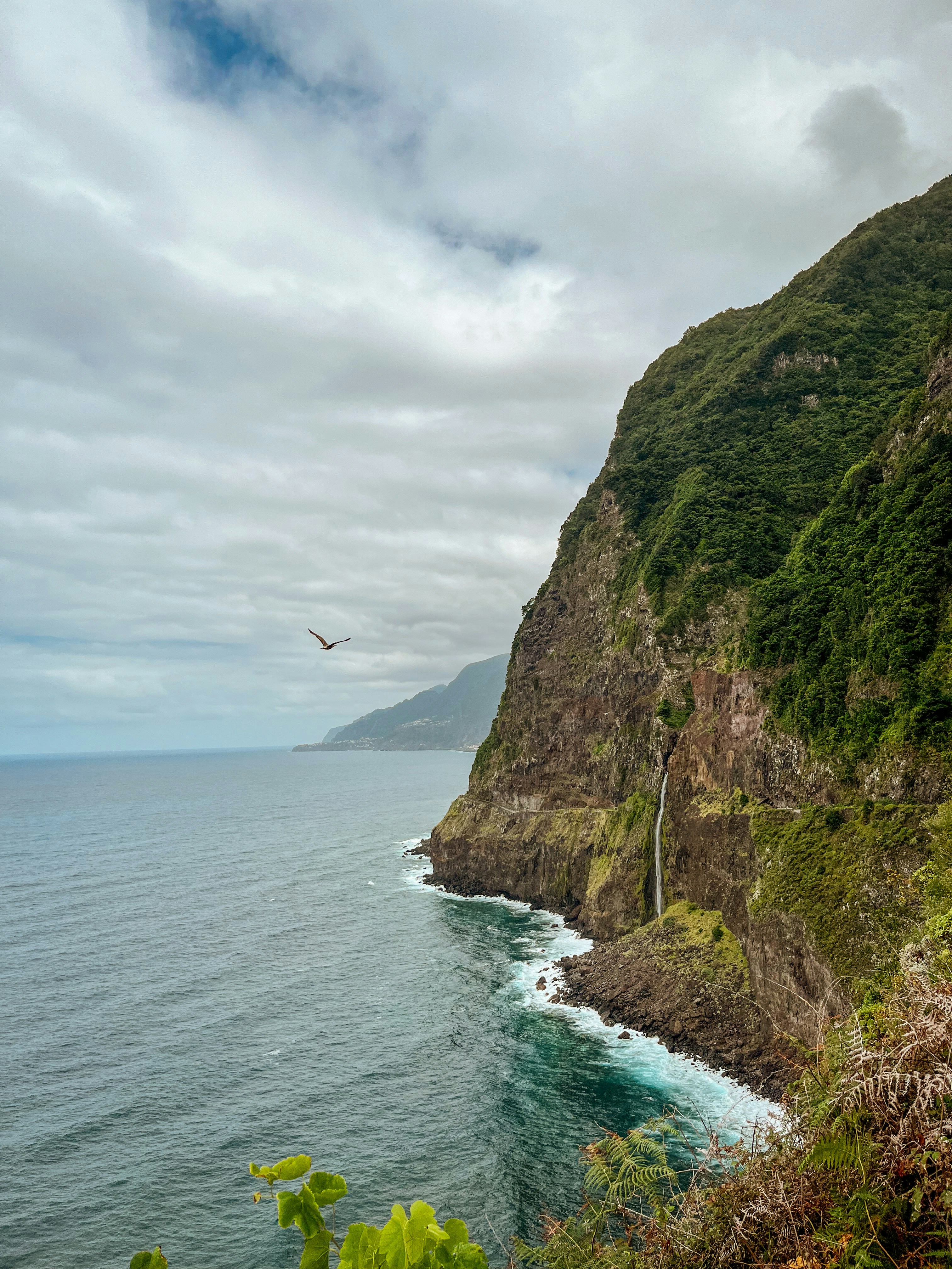 Photo by alexandradarlau