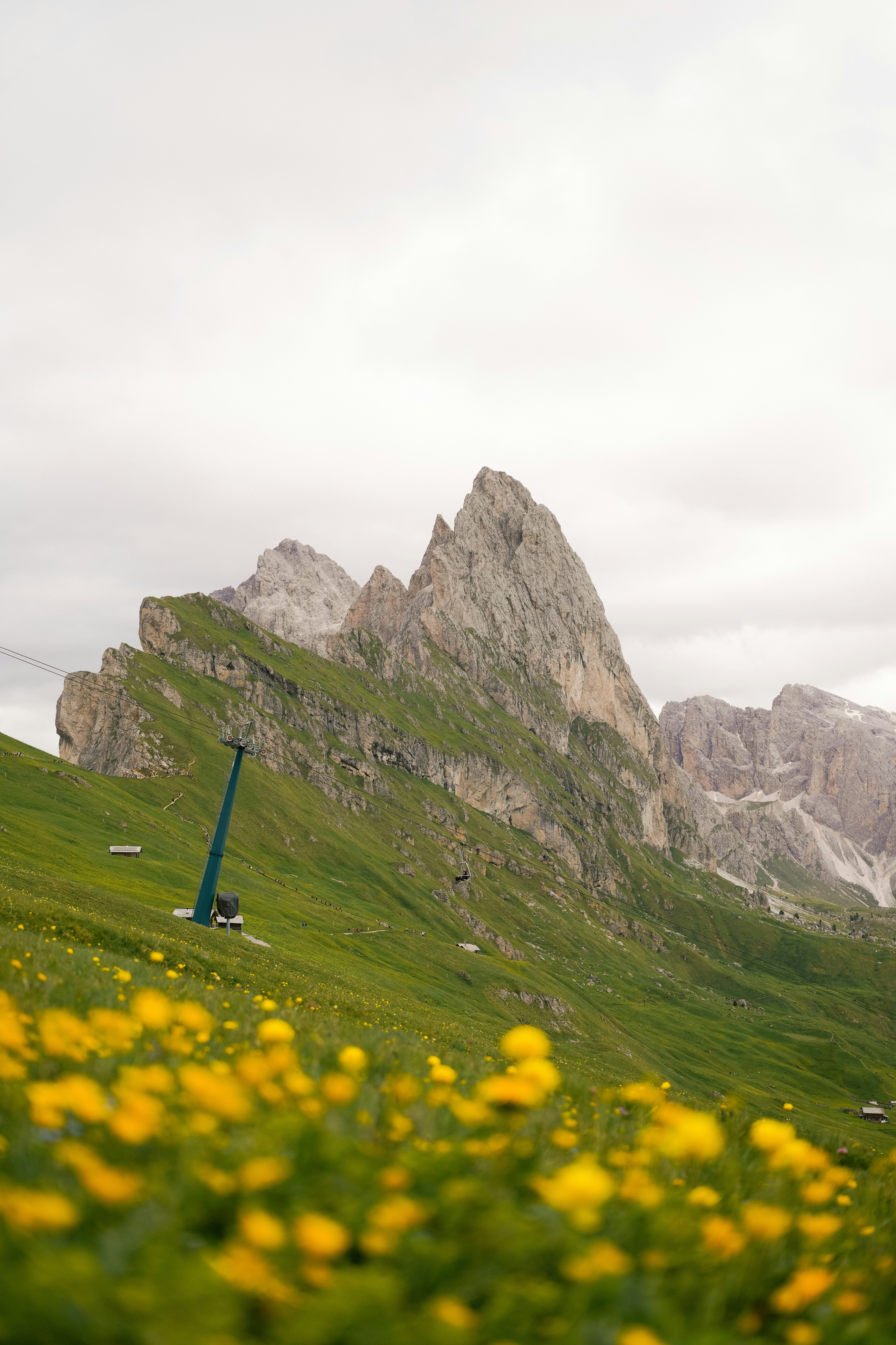 9 Hiking Poles to Improve Your Alpine Peak Camping Trek