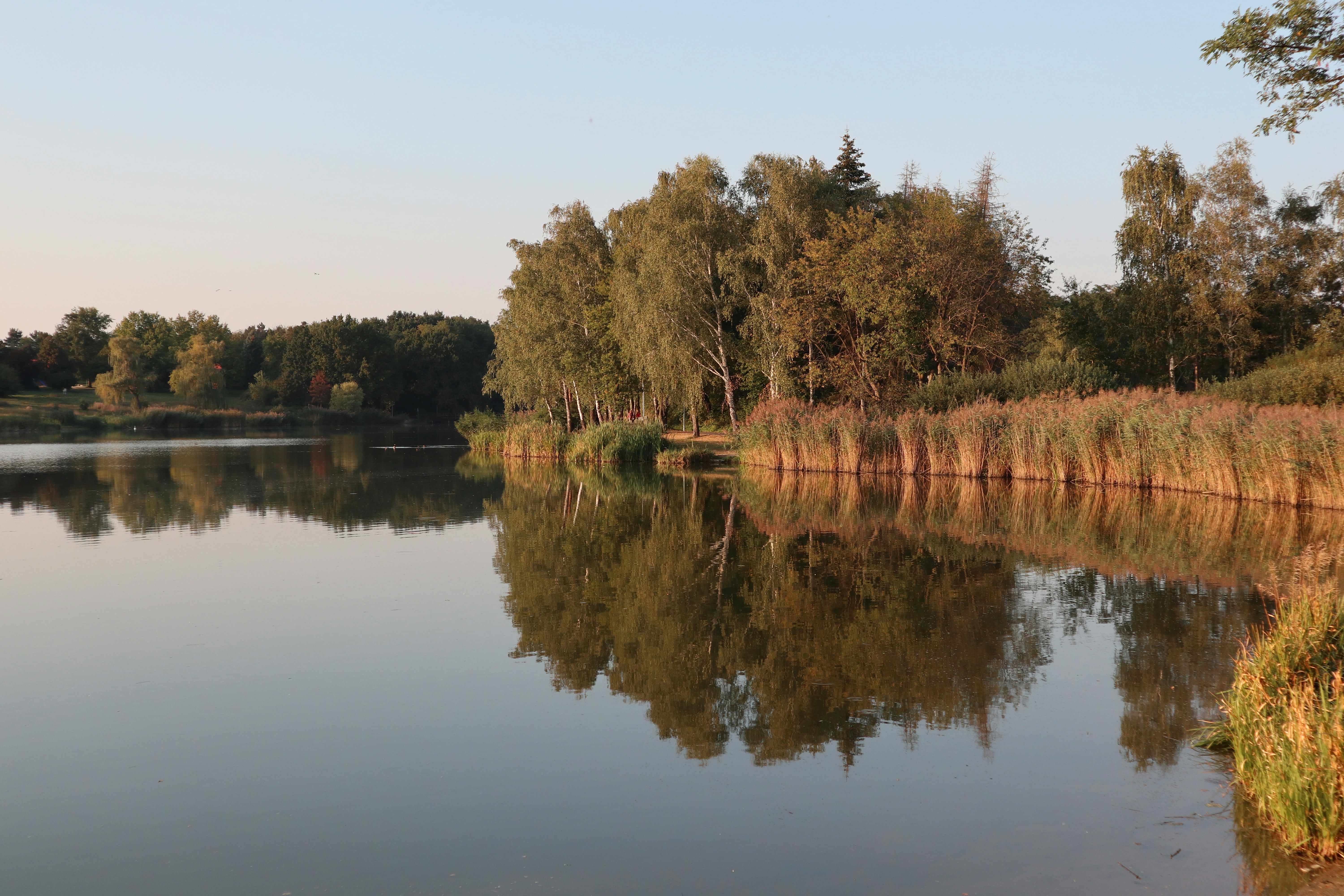 Photo by balint_miko