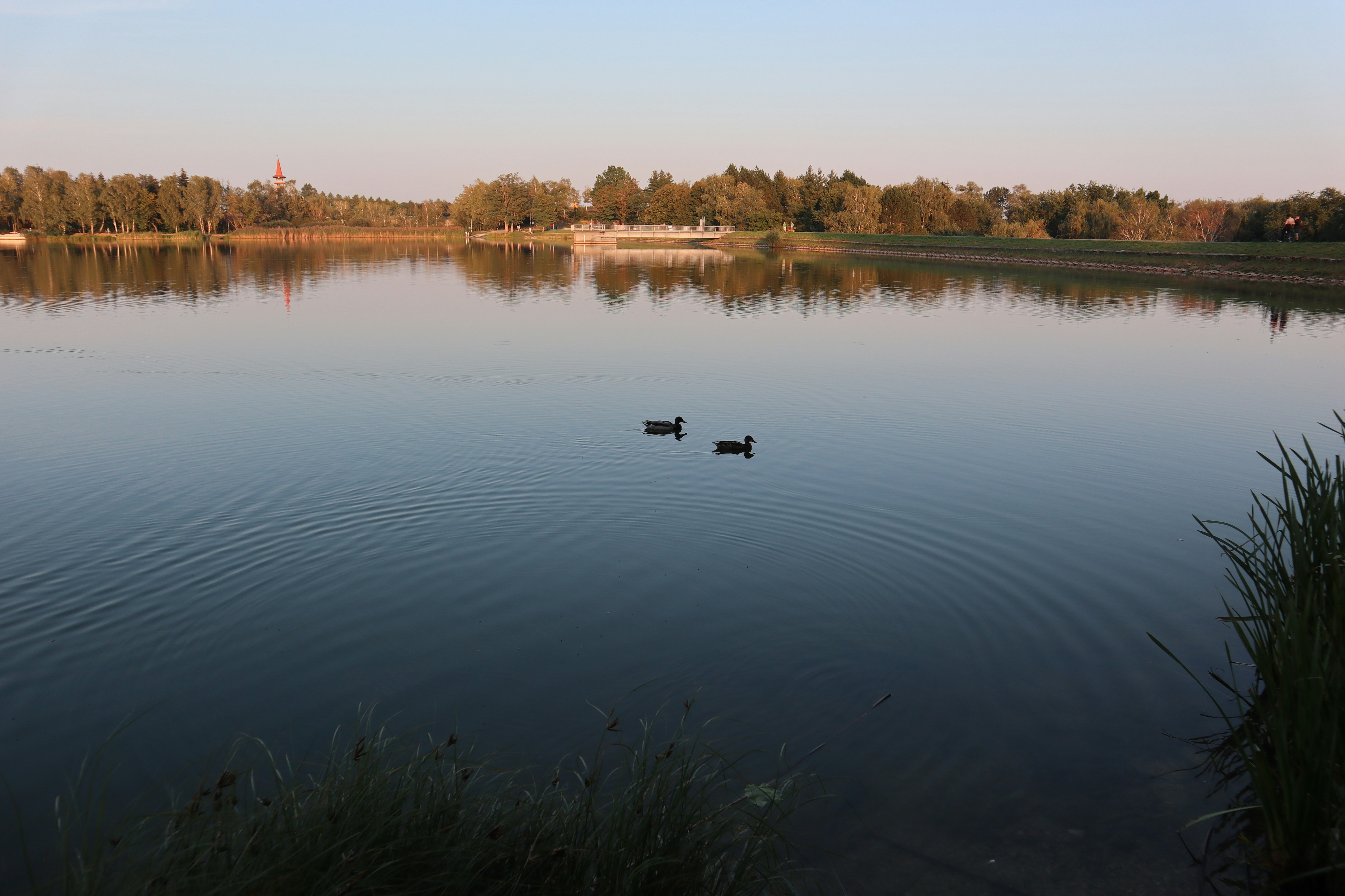 Photo by balint_miko