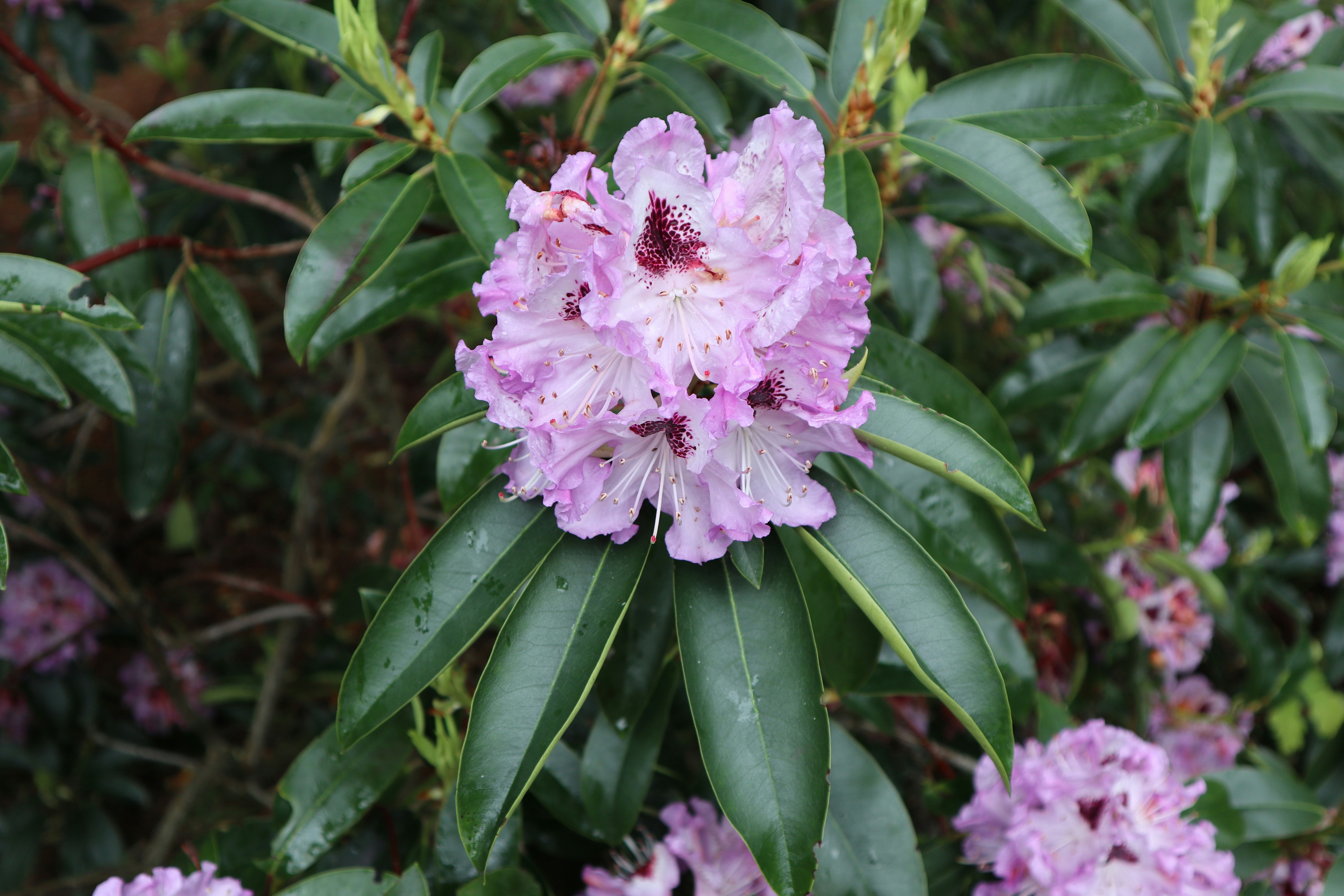 Photo by balint_miko