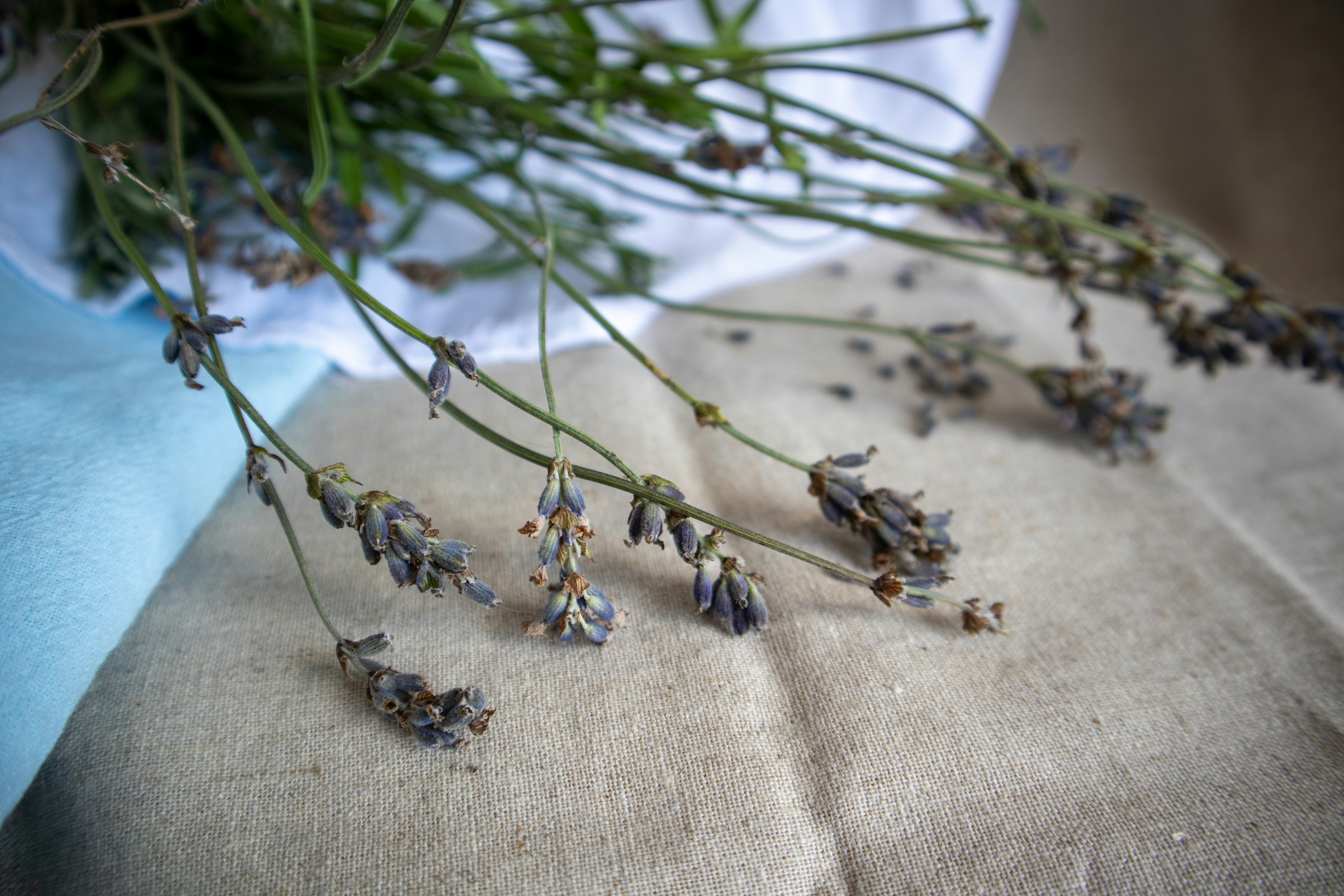 summer linen wallpaper, wallpaper, Modest Summer Dressing: Staying Cool & Covered 6