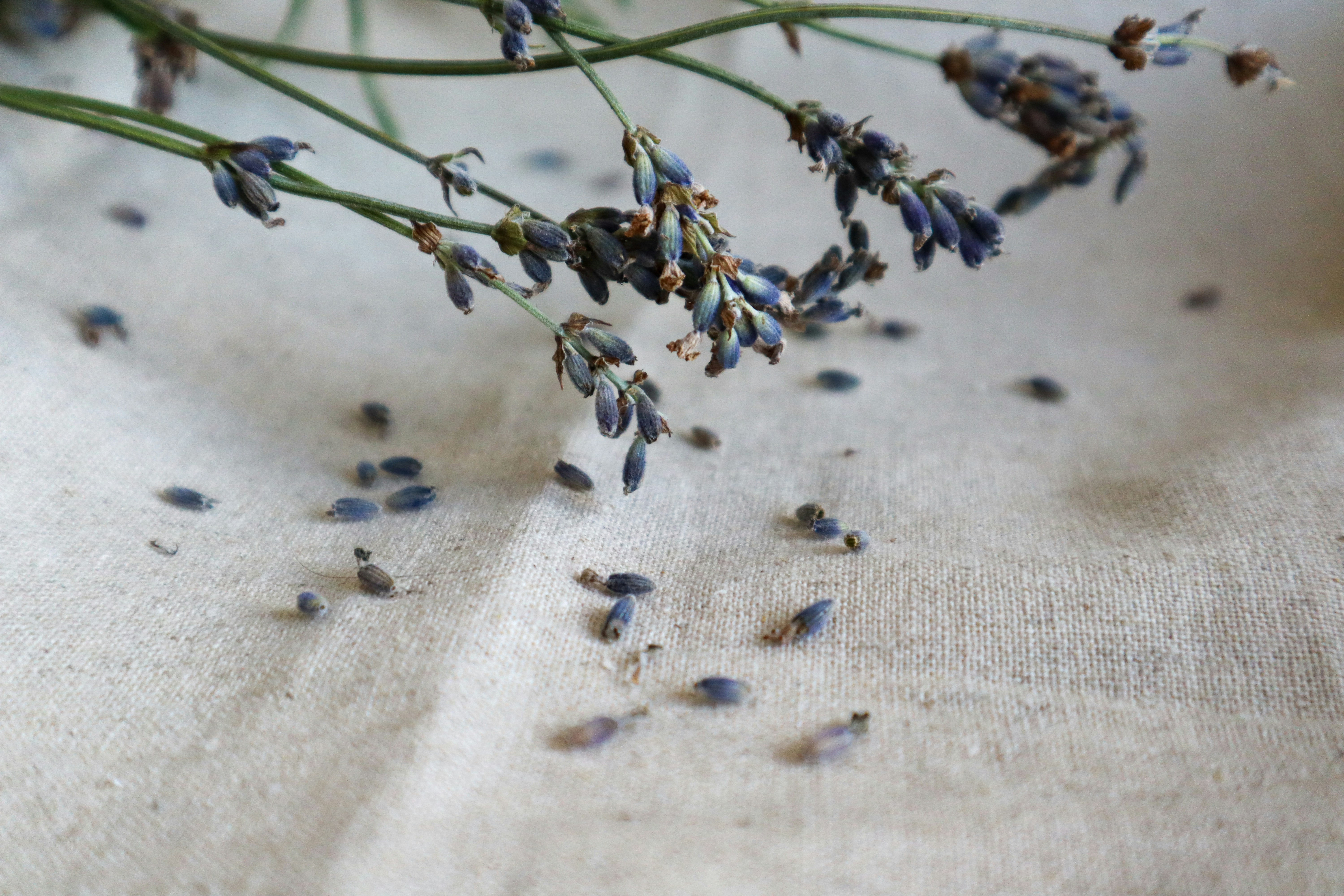 summer linen wallpaper, wallpaper, Modest Summer Dressing: Staying Cool & Covered 3