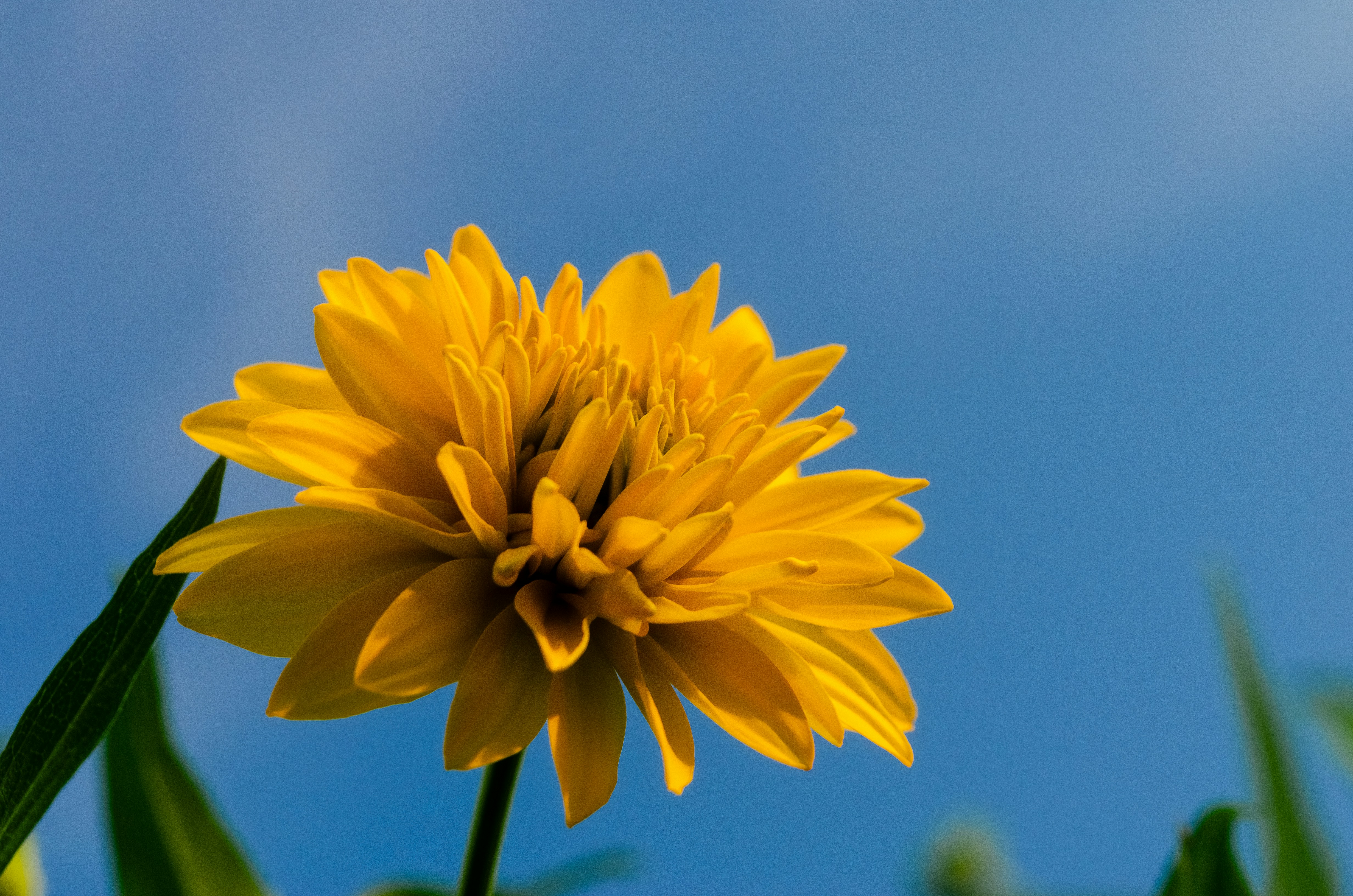 Photo by andrilliardbond