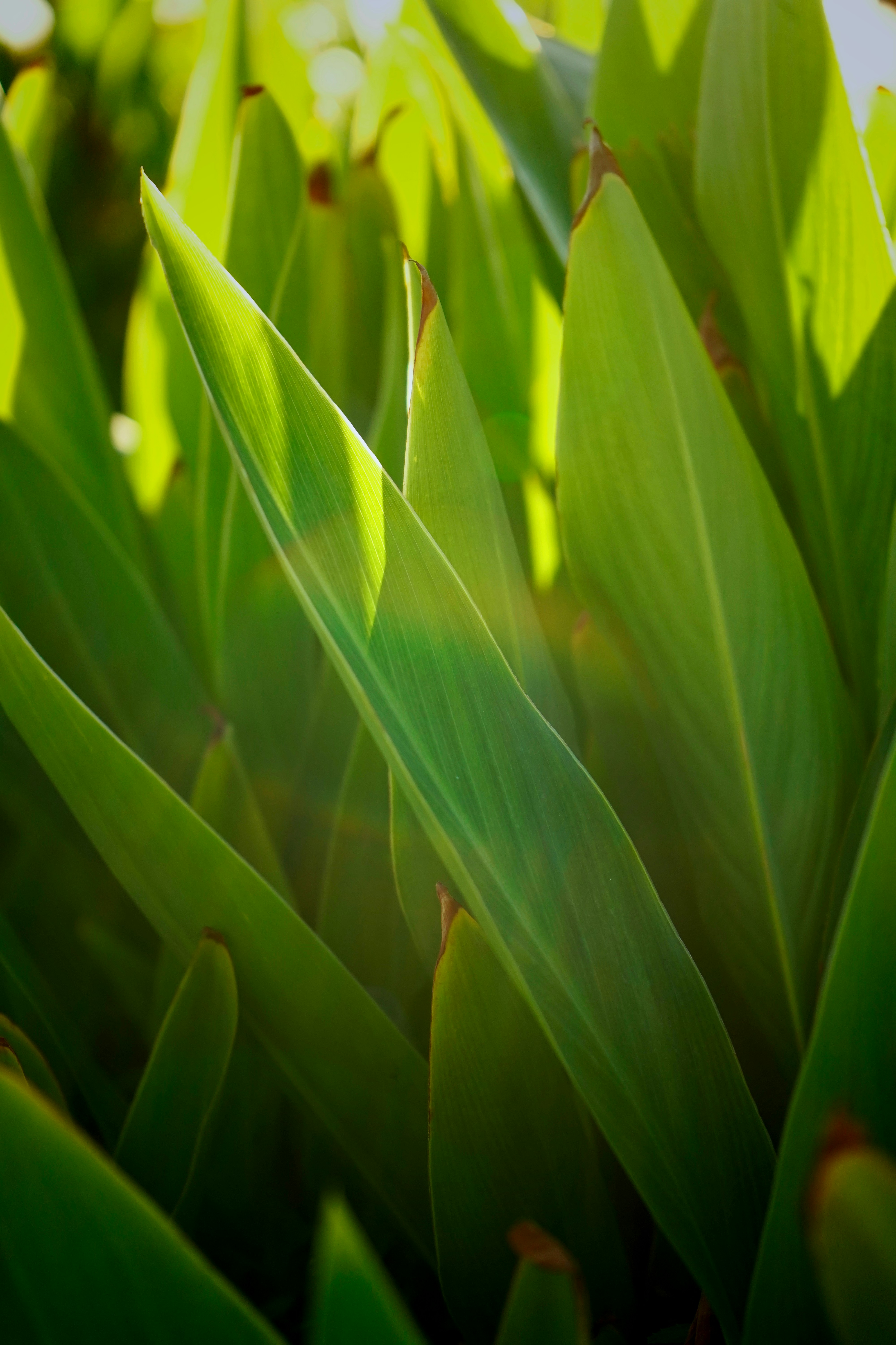 Photo by spacetourist