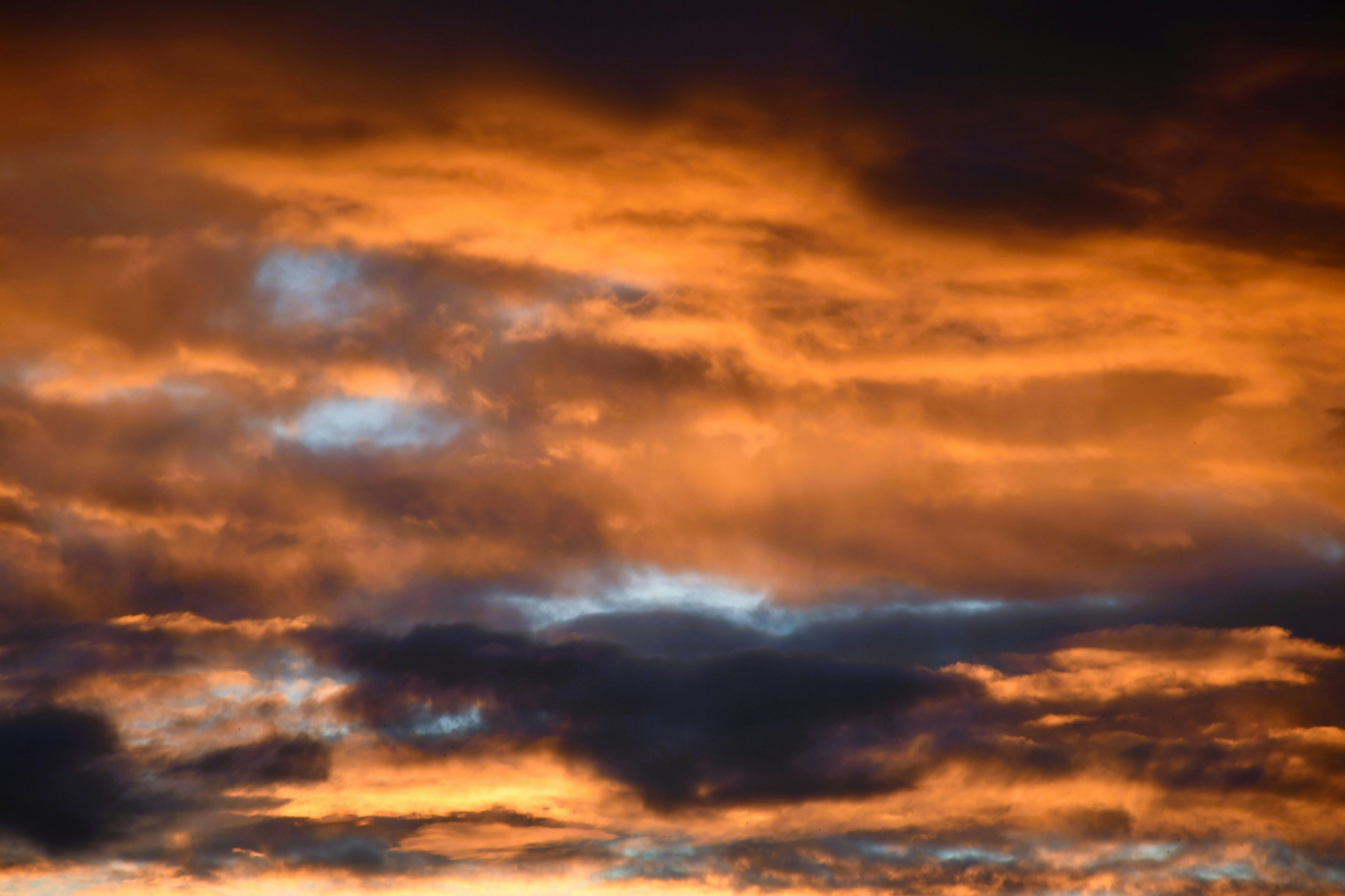 Photo by oleksandra_syrytsia