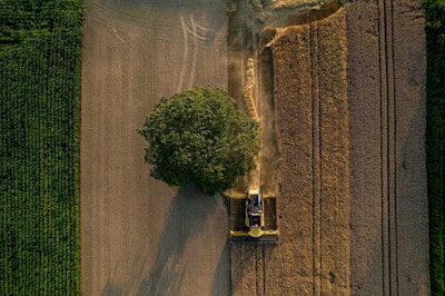 An aerial view of a tractor and a tree in a field