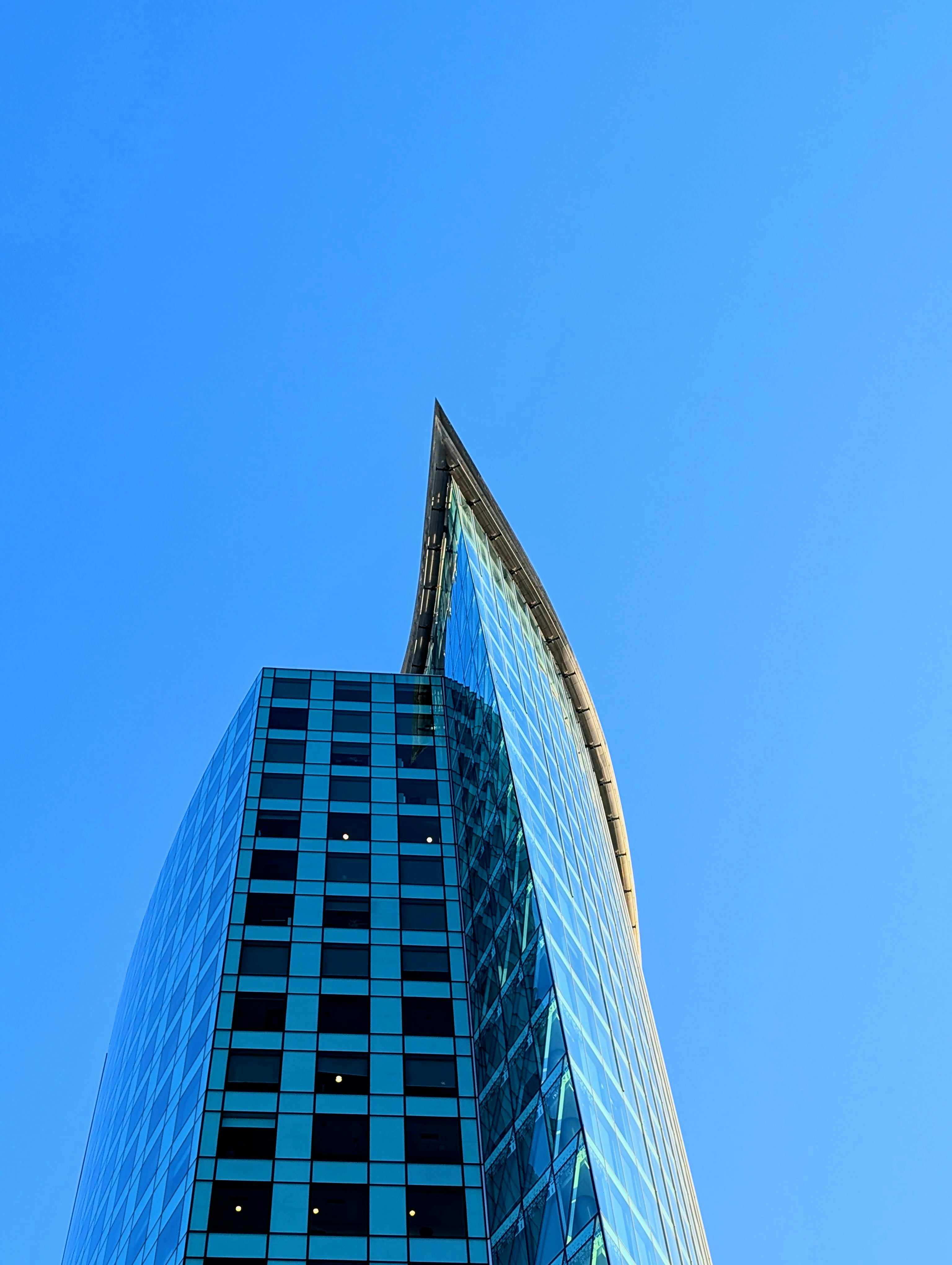 Photo by holychicken99