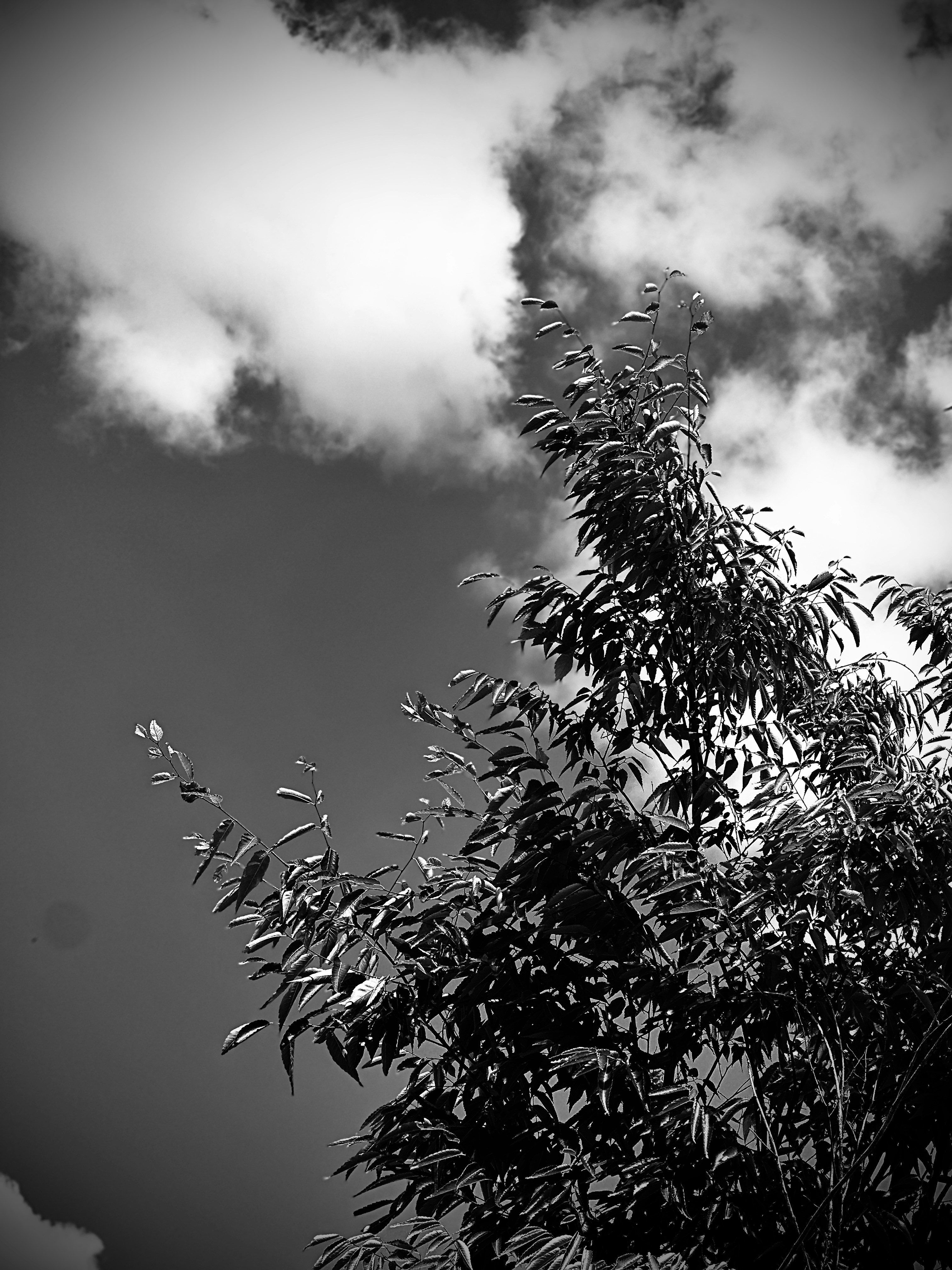 Photo by mdeepkandola