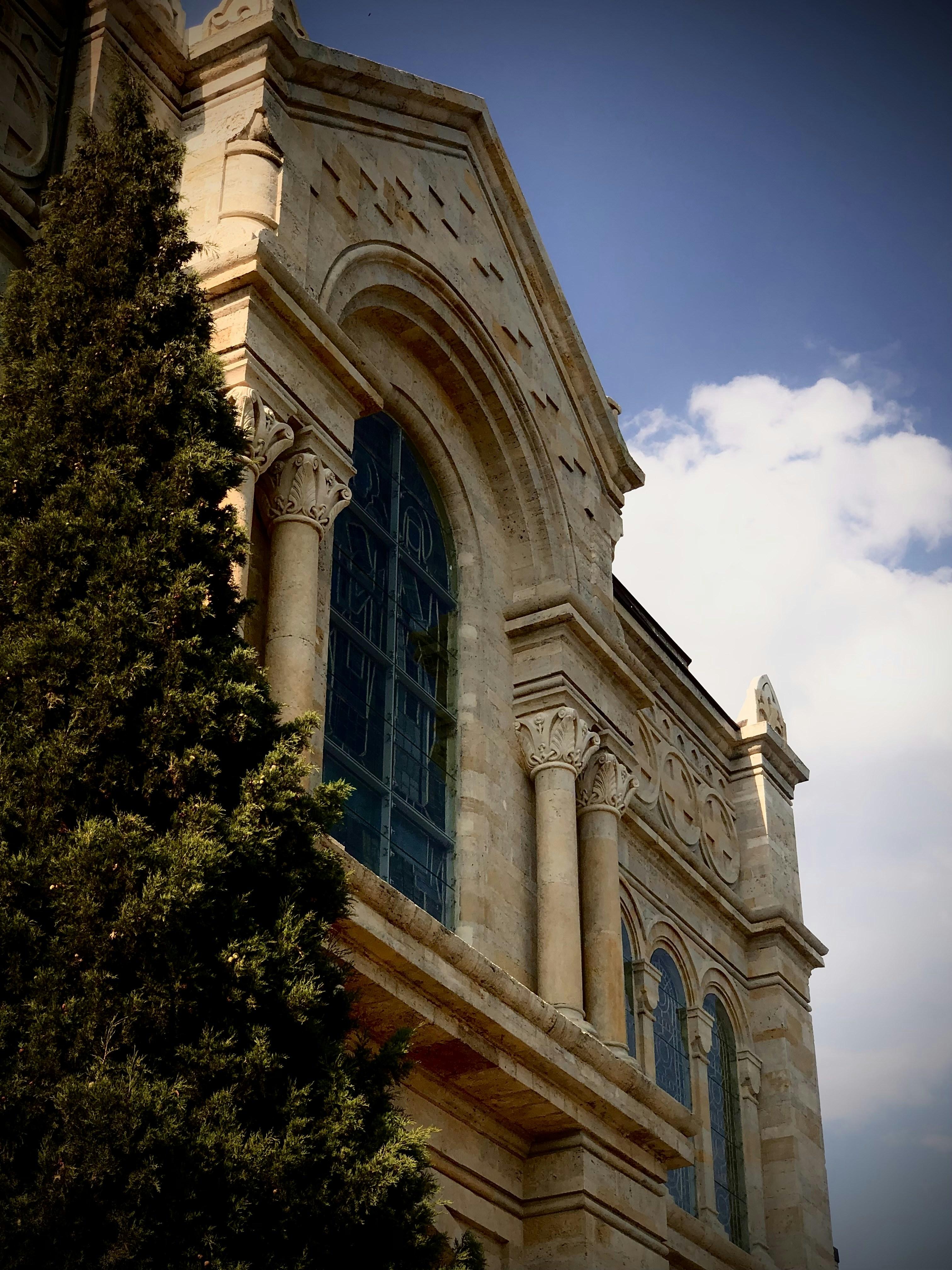 Dive Into Ancient History