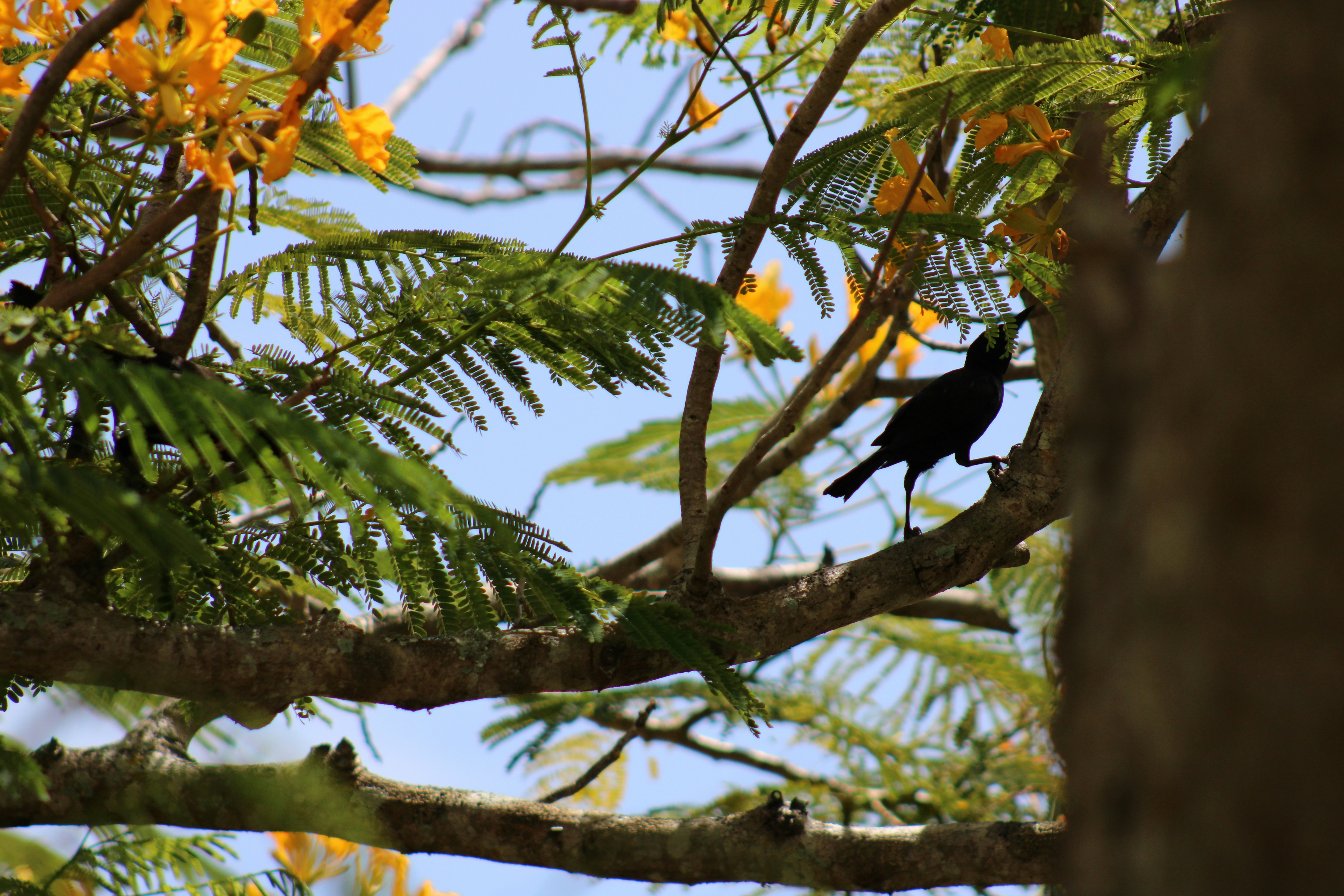 Photo by loaizaperez