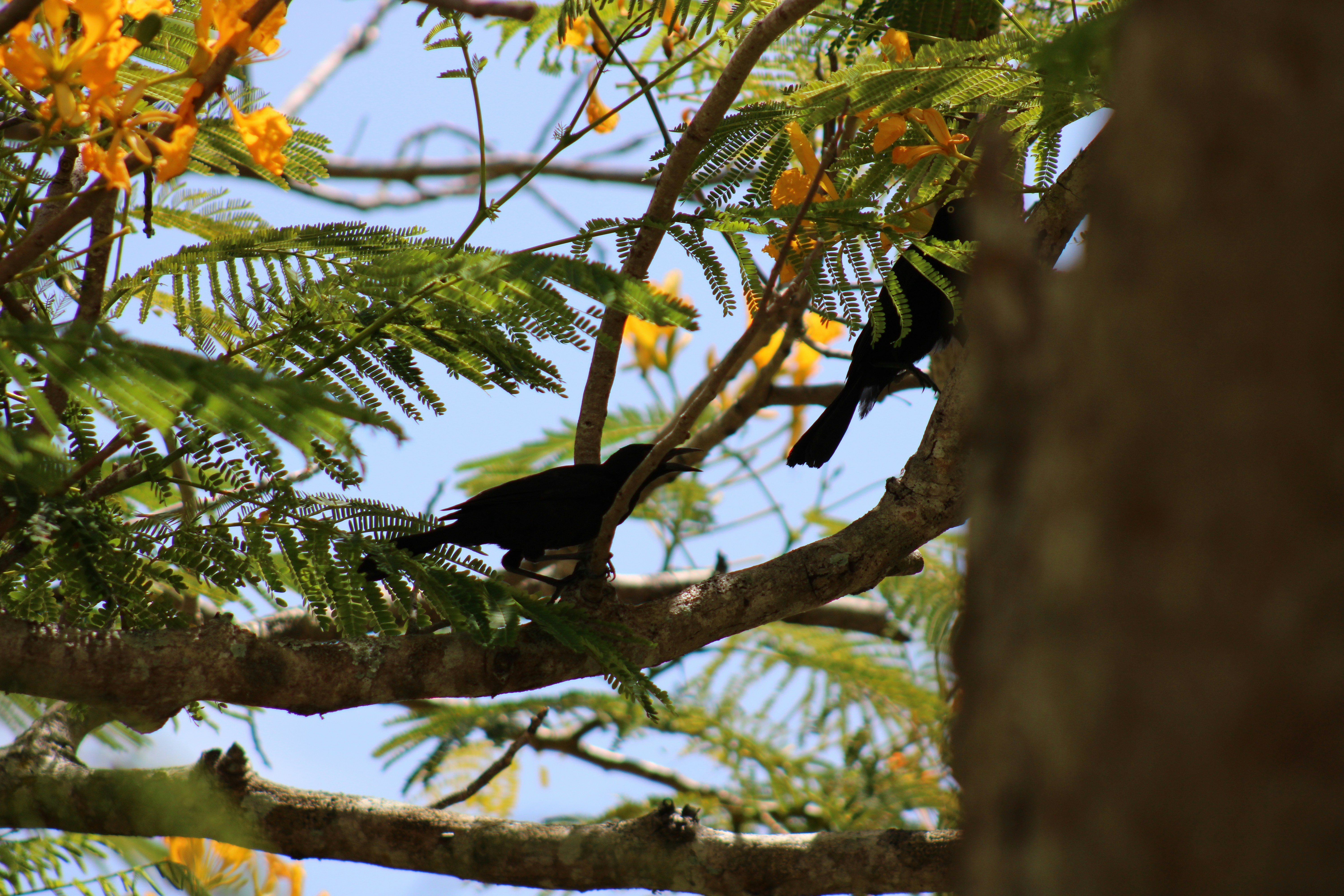 Photo by loaizaperez