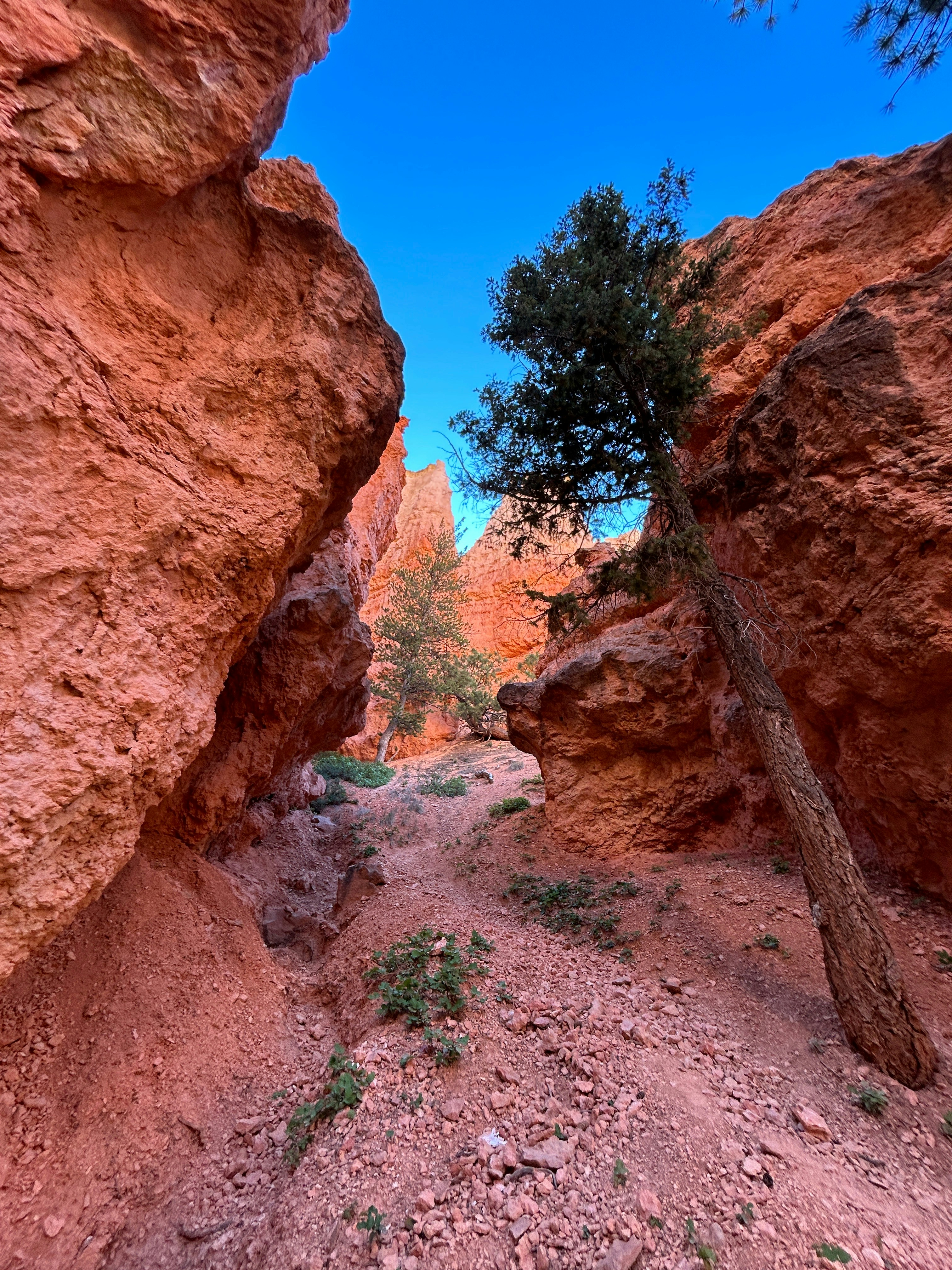 Photo by gibsoncrafton