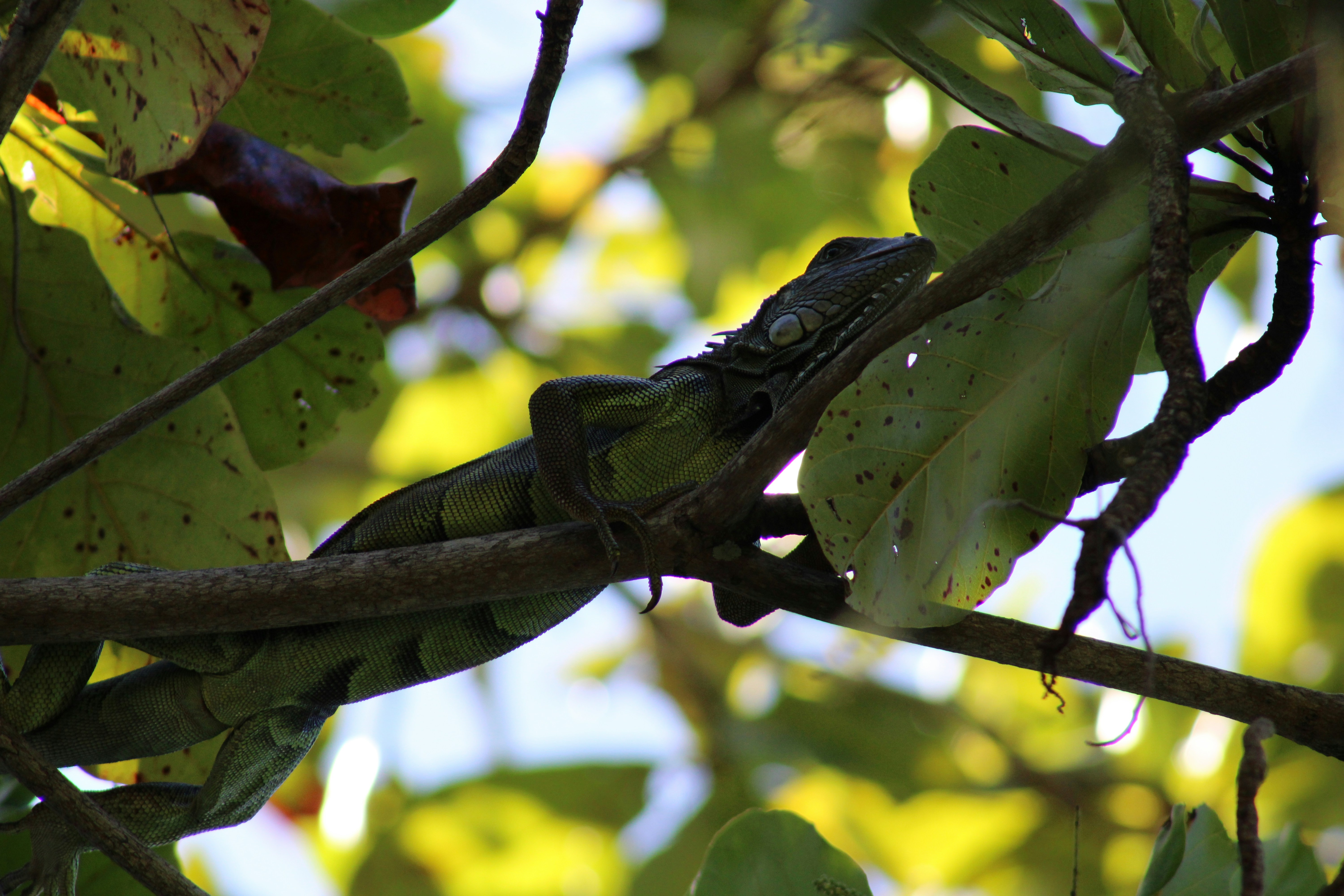 Photo by loaizaperez