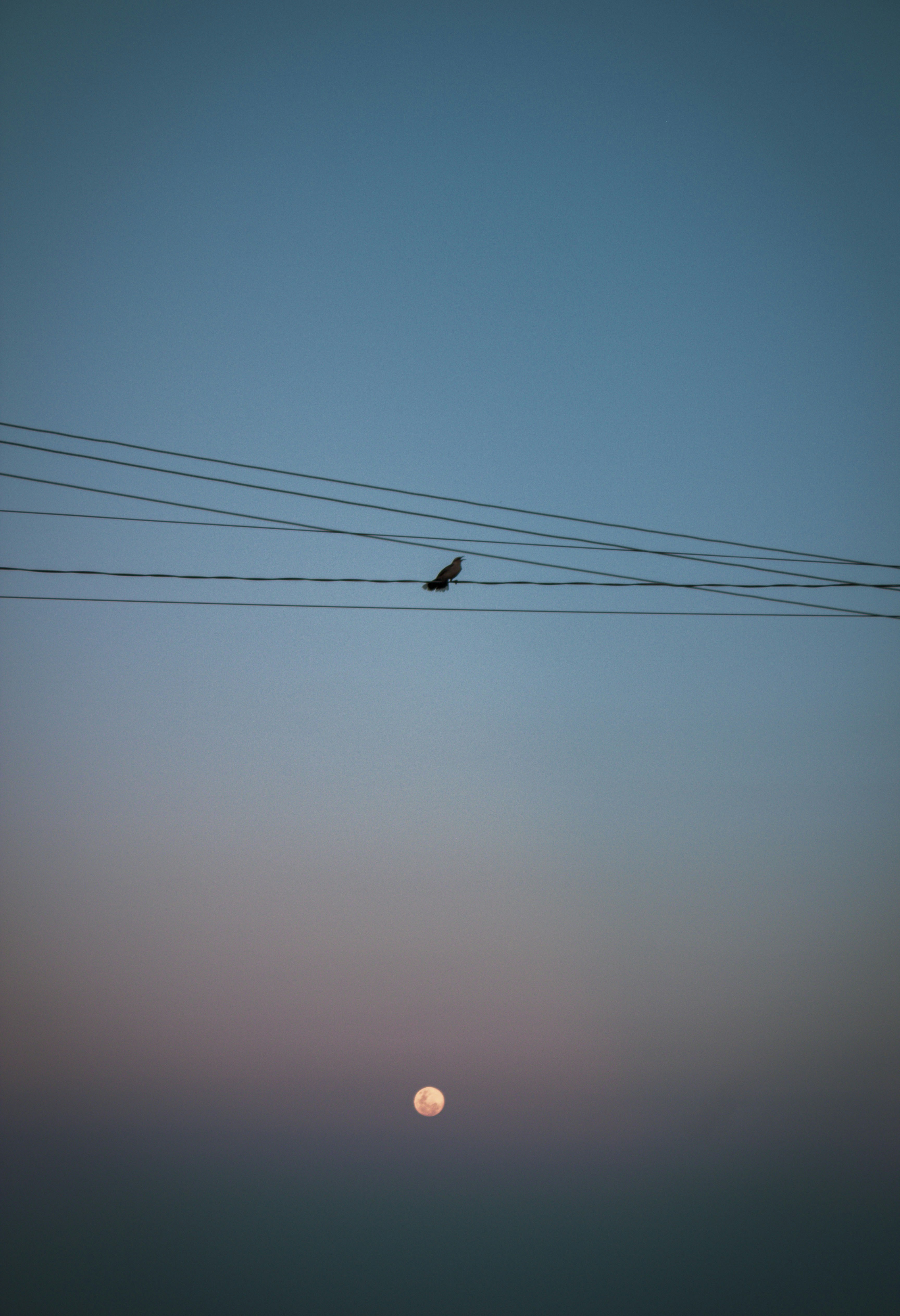 Photo by arturovideomaker