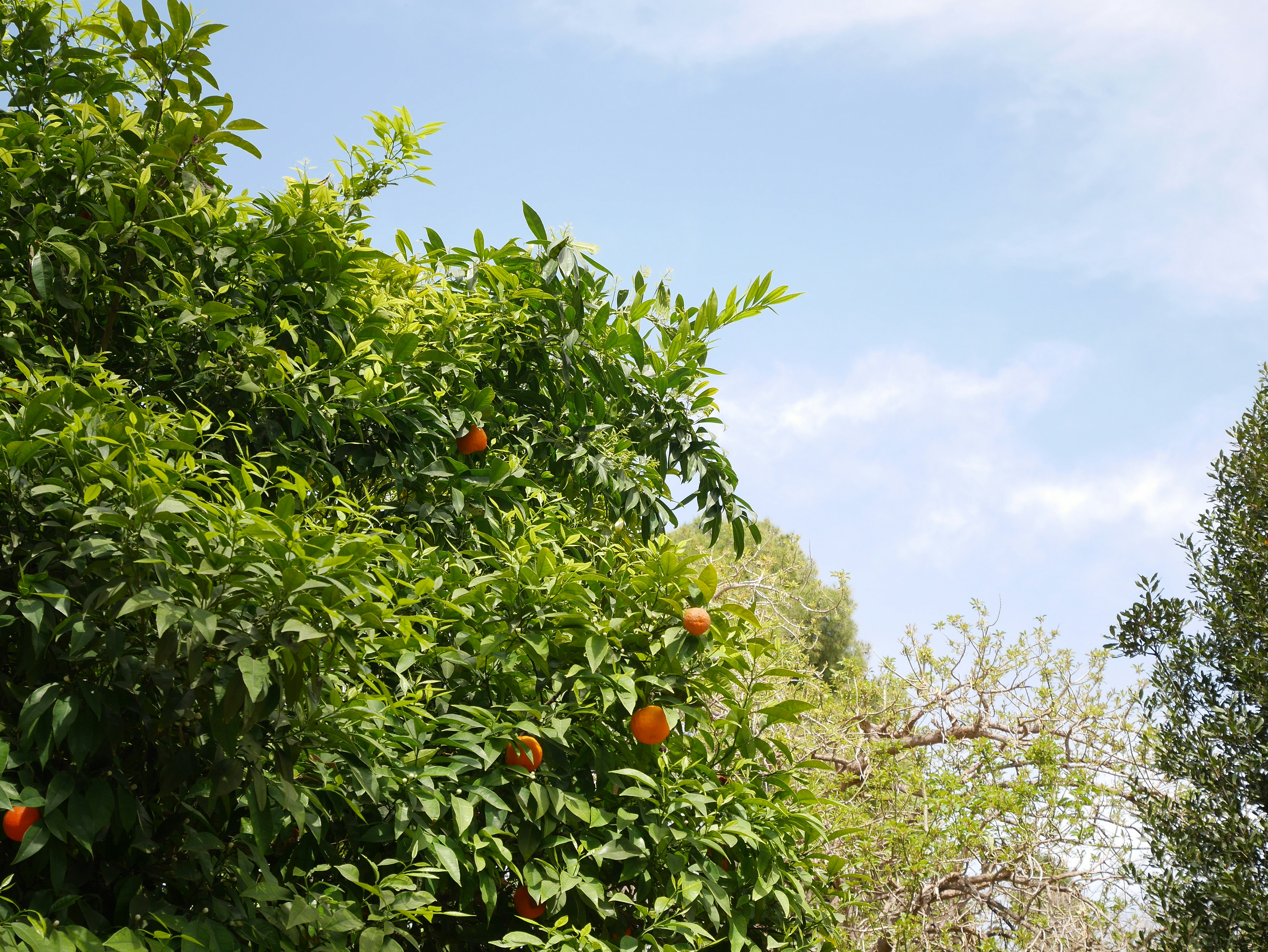 Photo by crimsonmiraclet