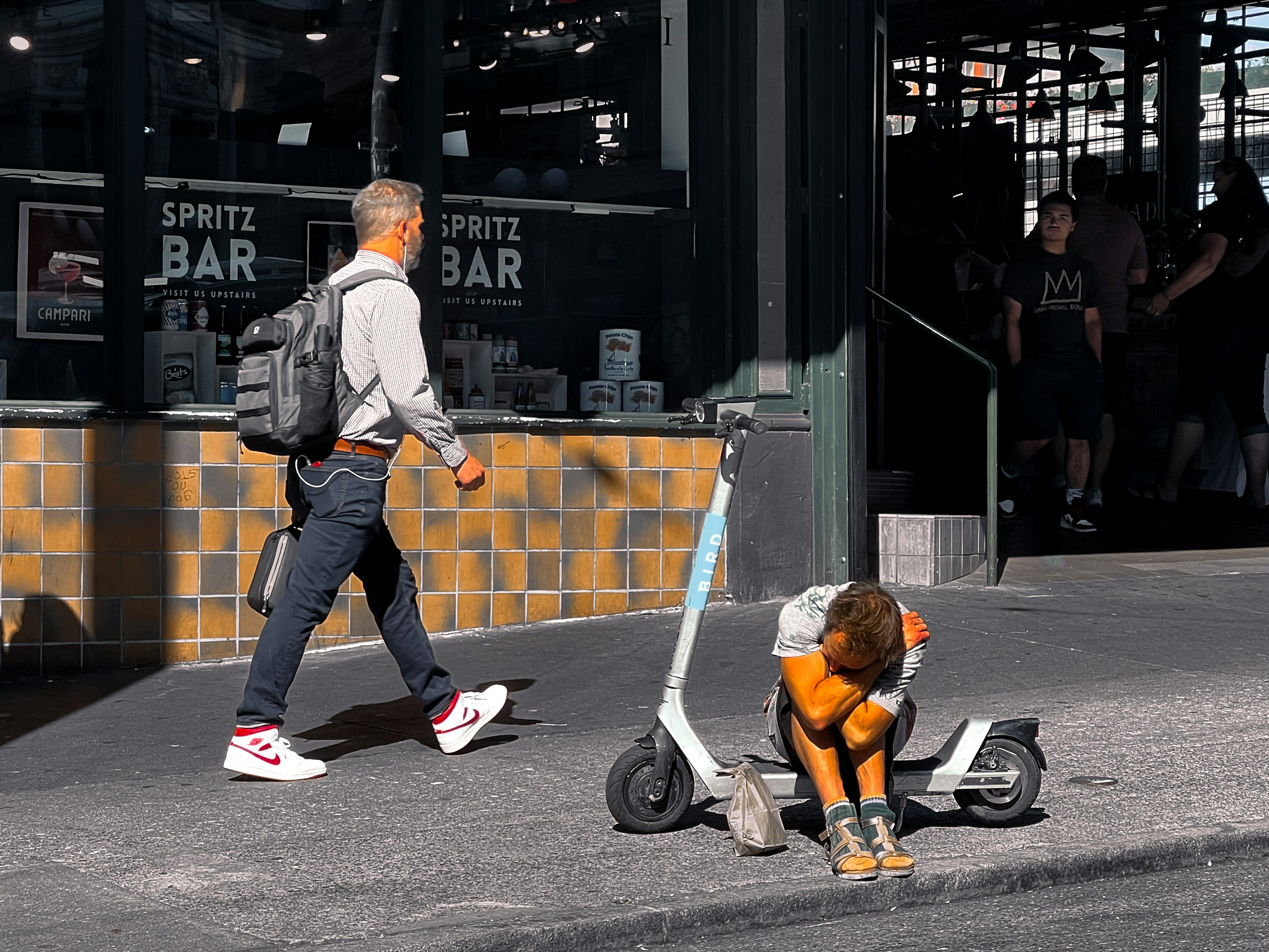 Pampered Pooches The Latest Grooming Trends