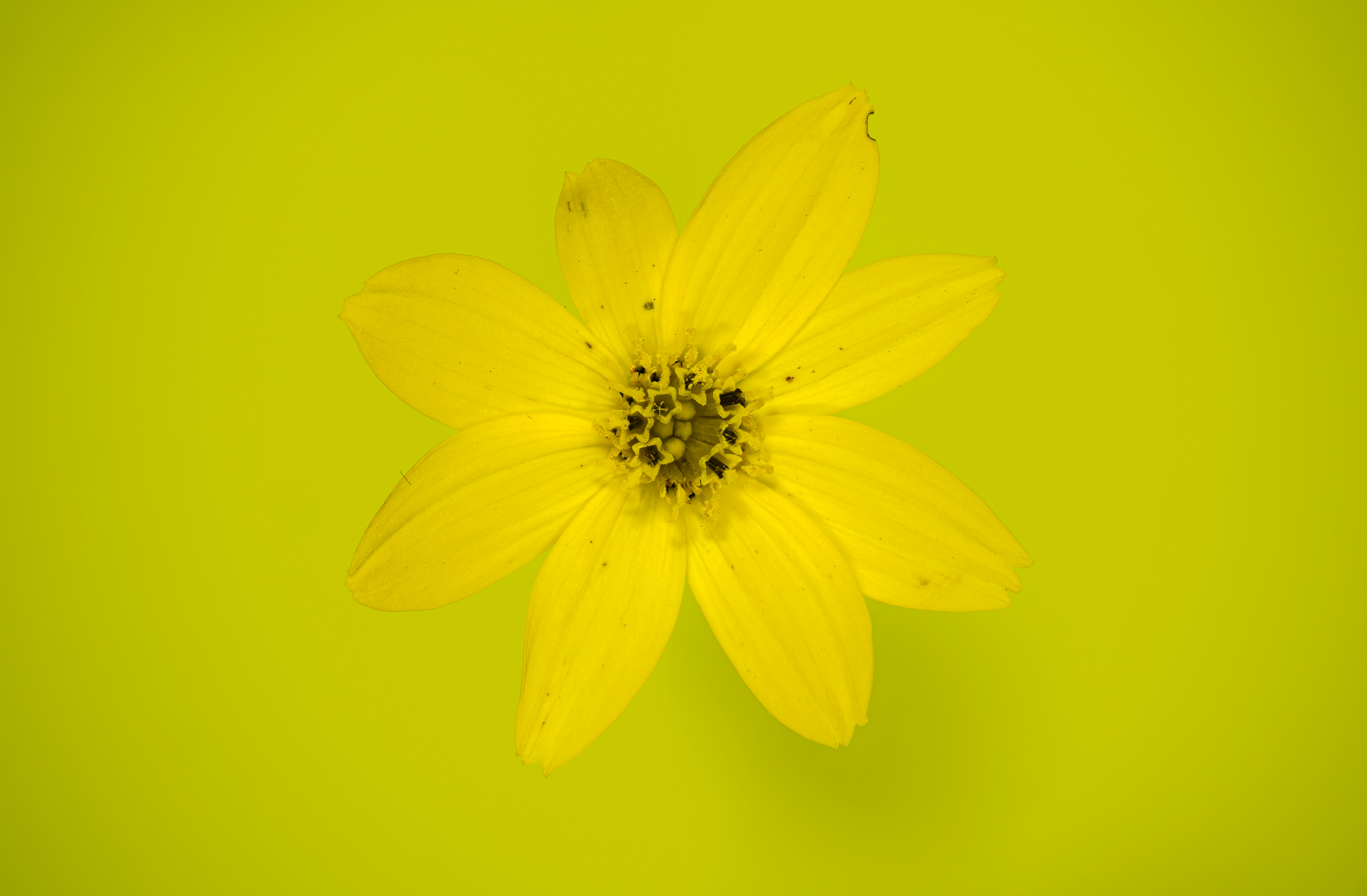 Photo by alexandredaoust