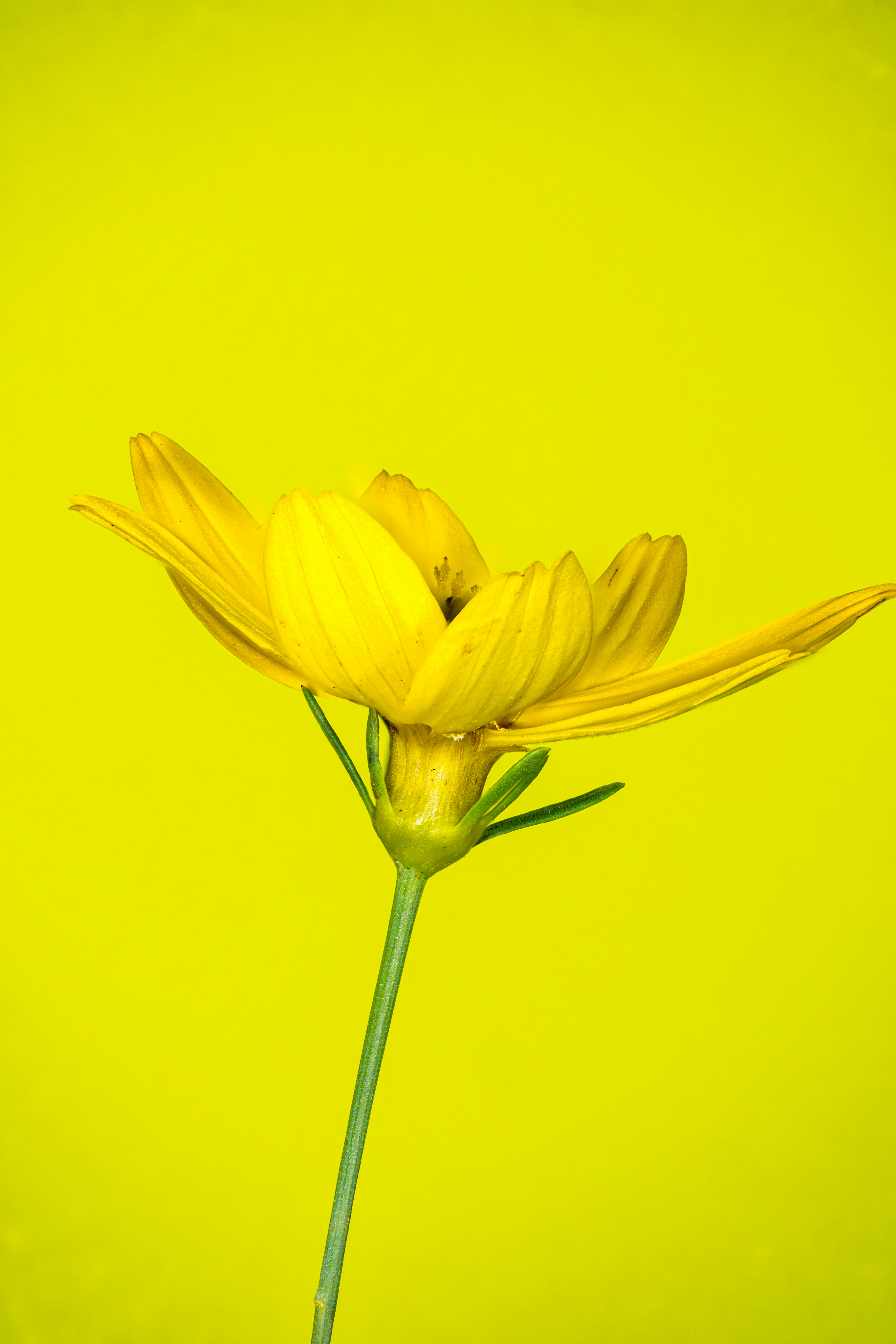 Photo by alexandredaoust