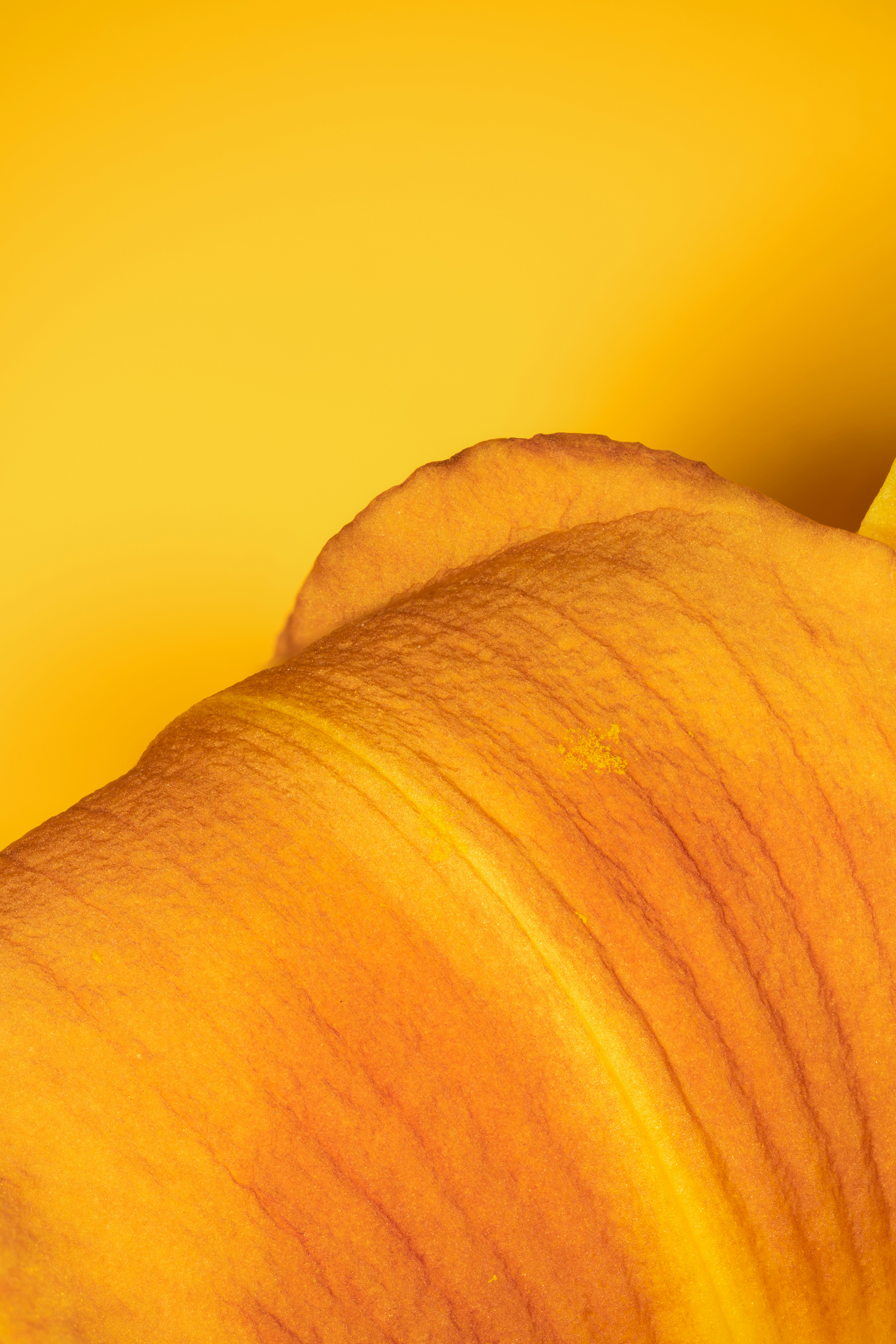 Photo by alexandredaoust