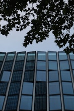 A tall building with lots of windows next to a tree