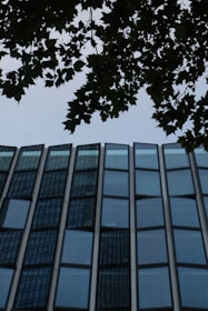 A tall building with lots of windows next to a tree
