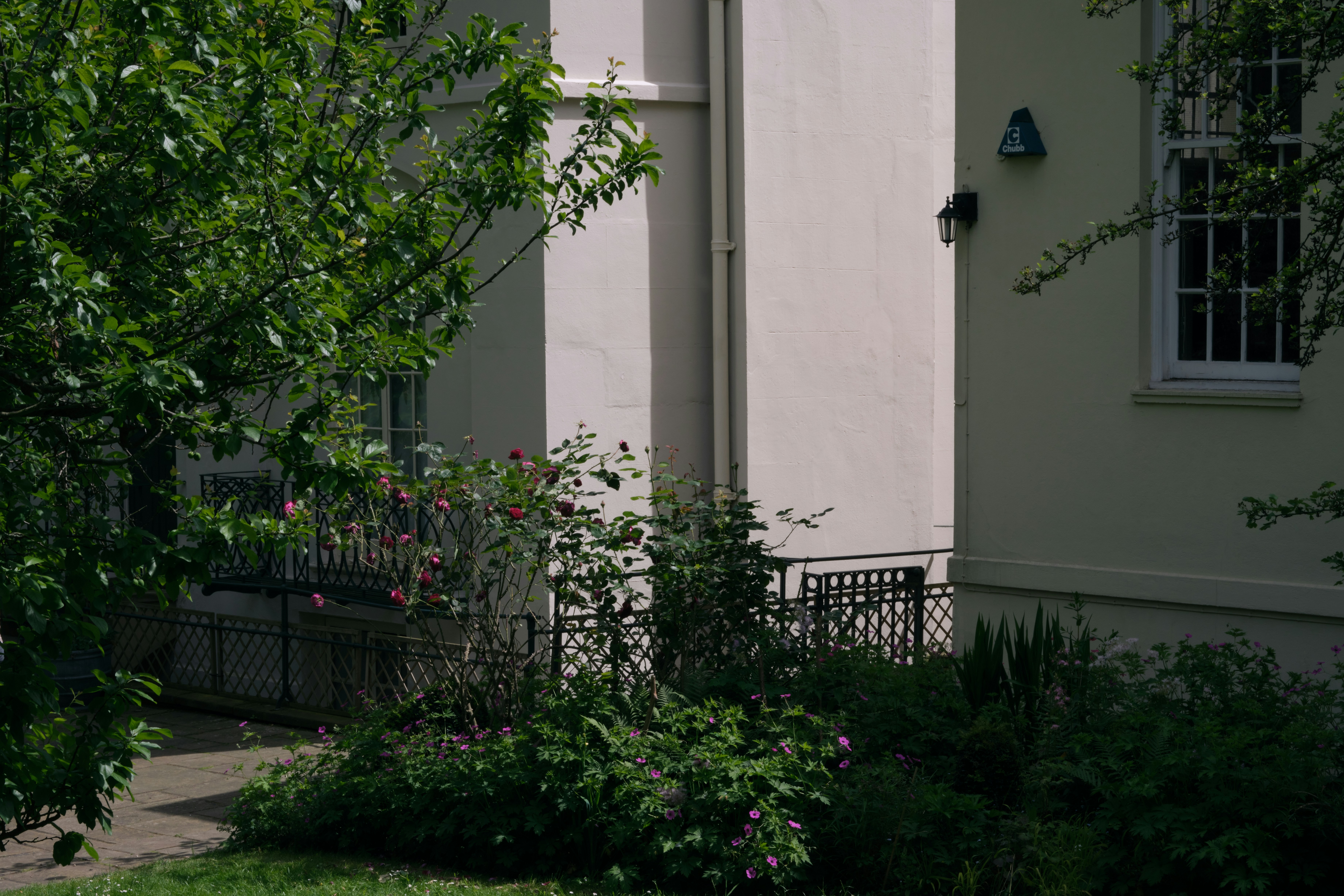 Photo by romanakash27