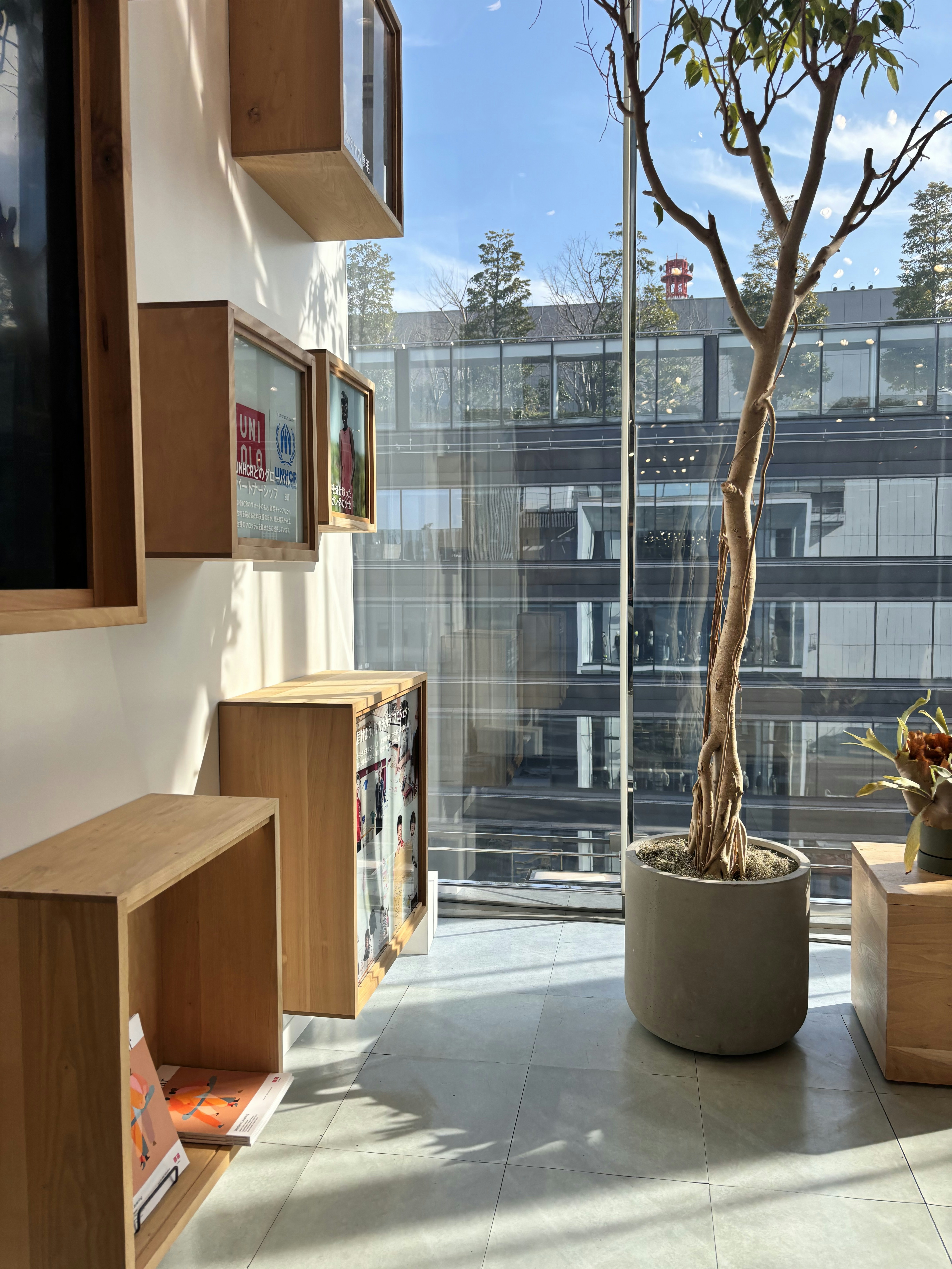 A room with a tree in the middle of it