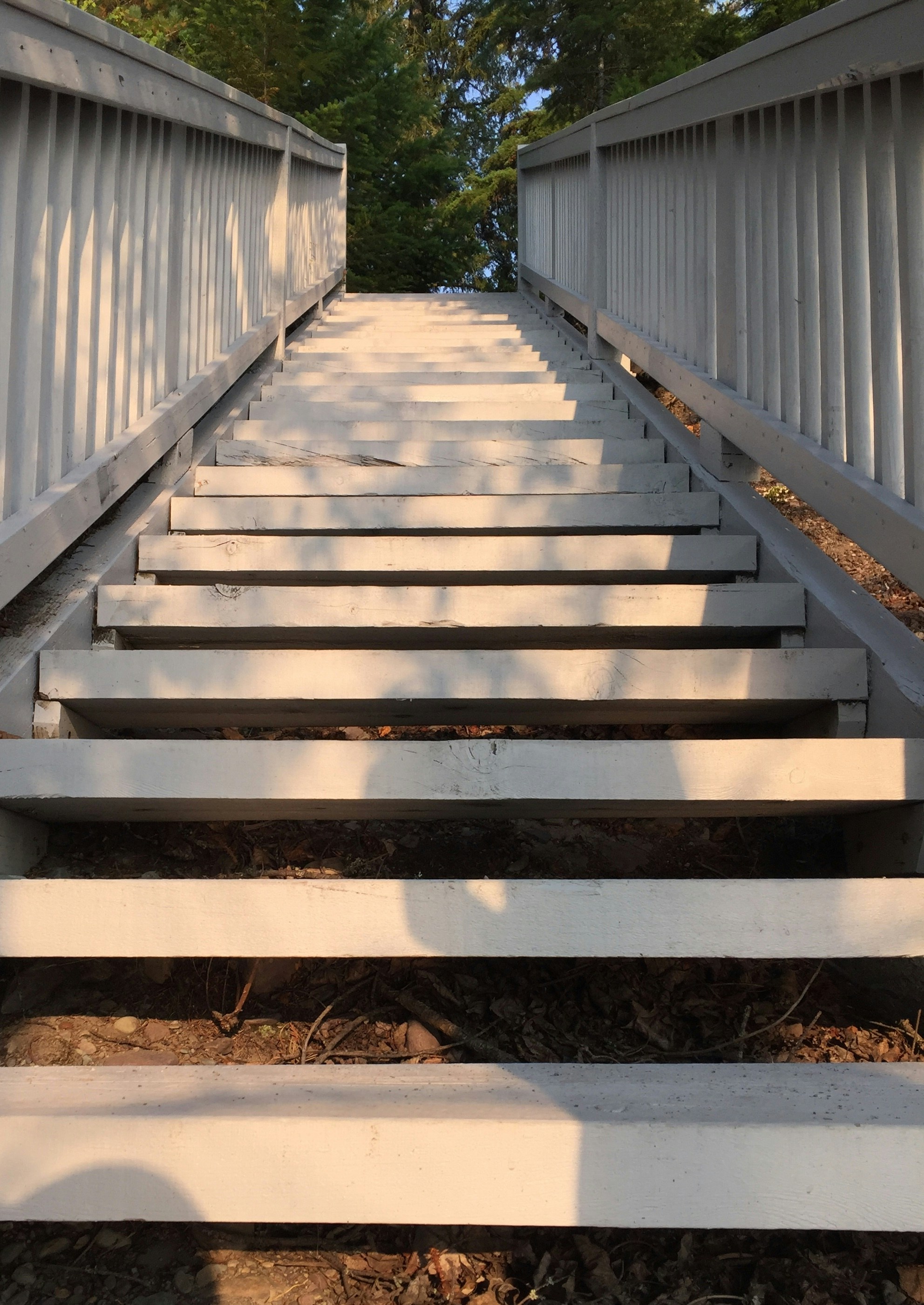 A set of stairs leading to a forest