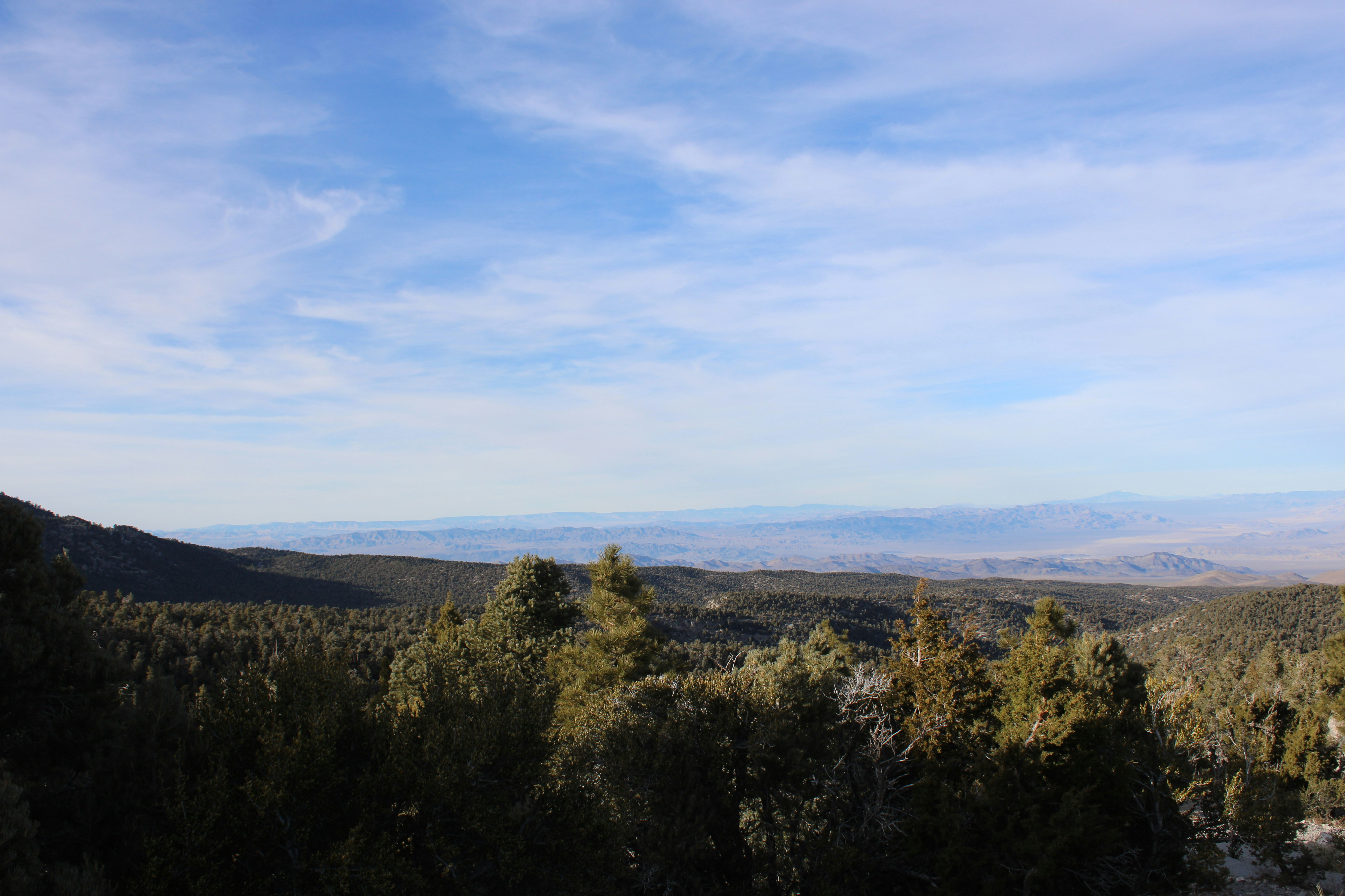 Photo by loaizaperez