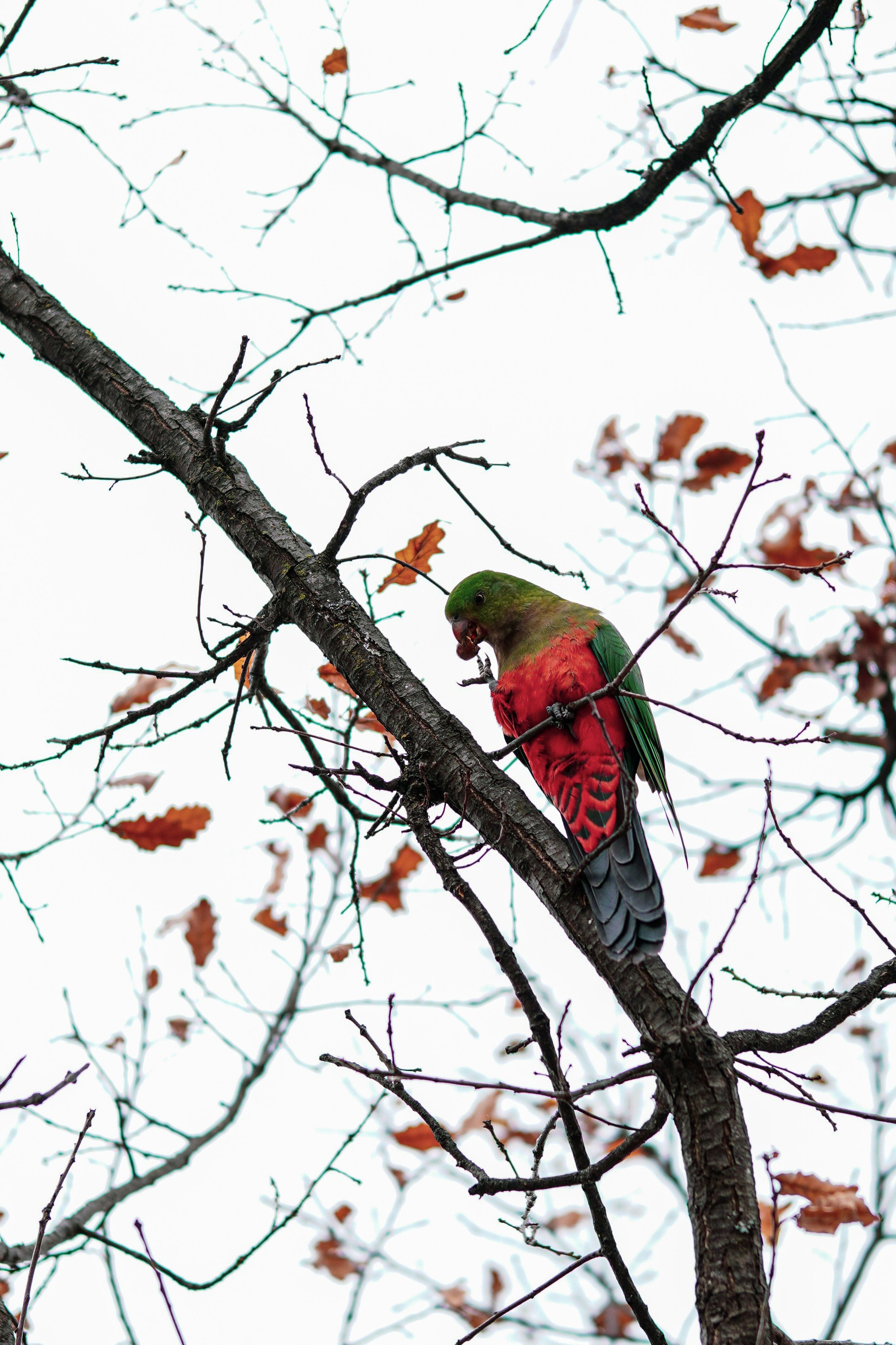 Photo by greenliustudio