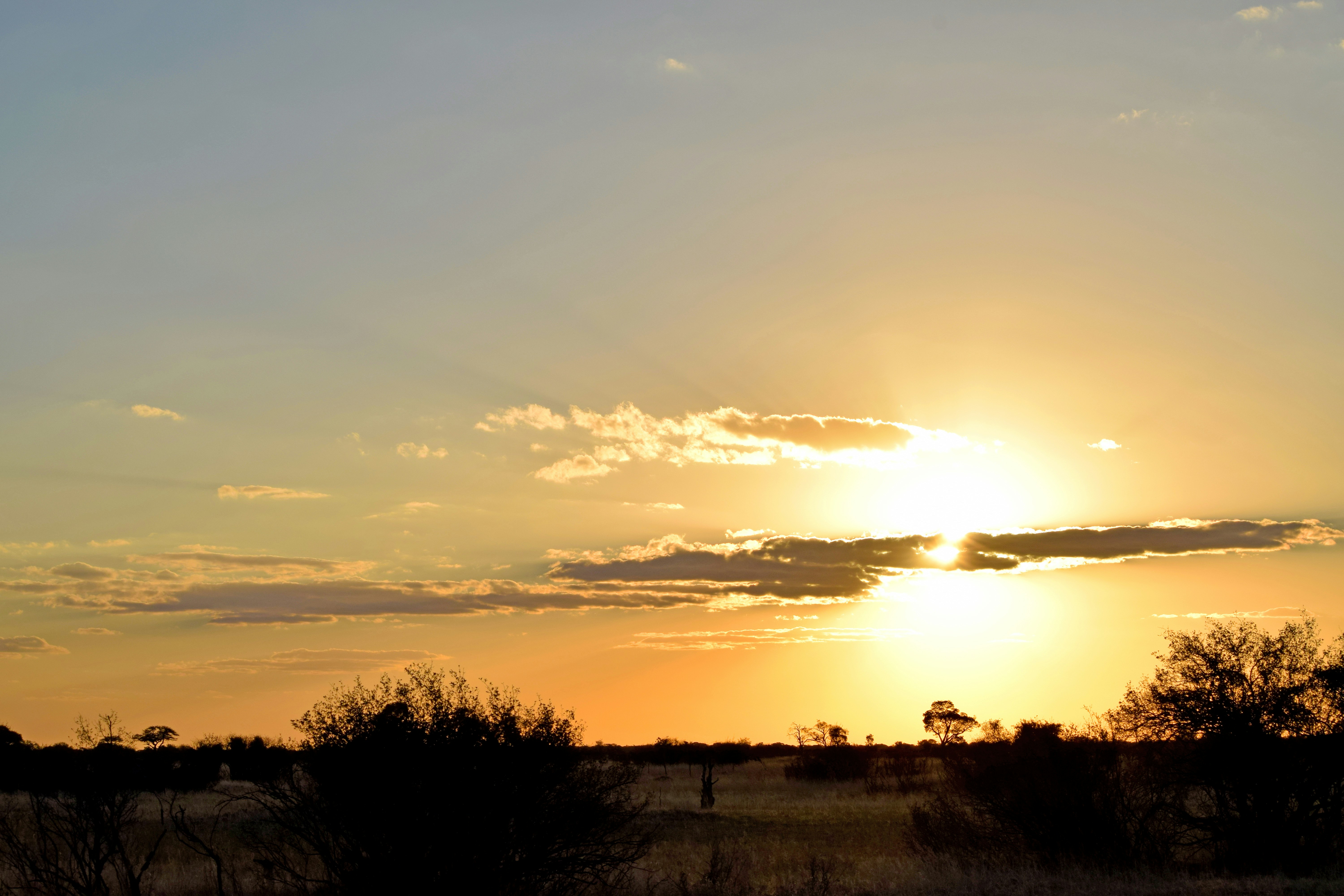 Photo by mocream_coffee