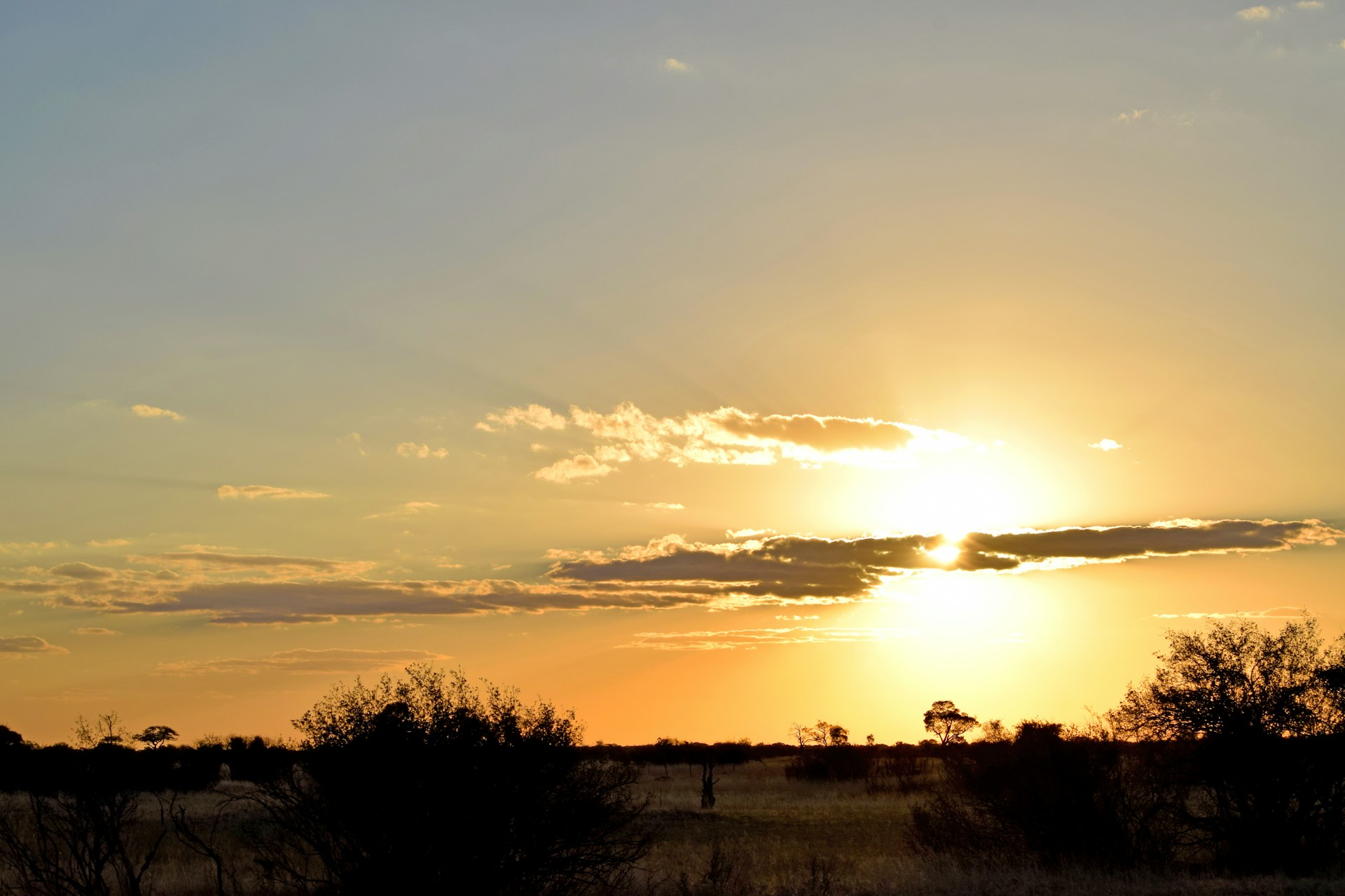 The sun is setting in the distance over a field
