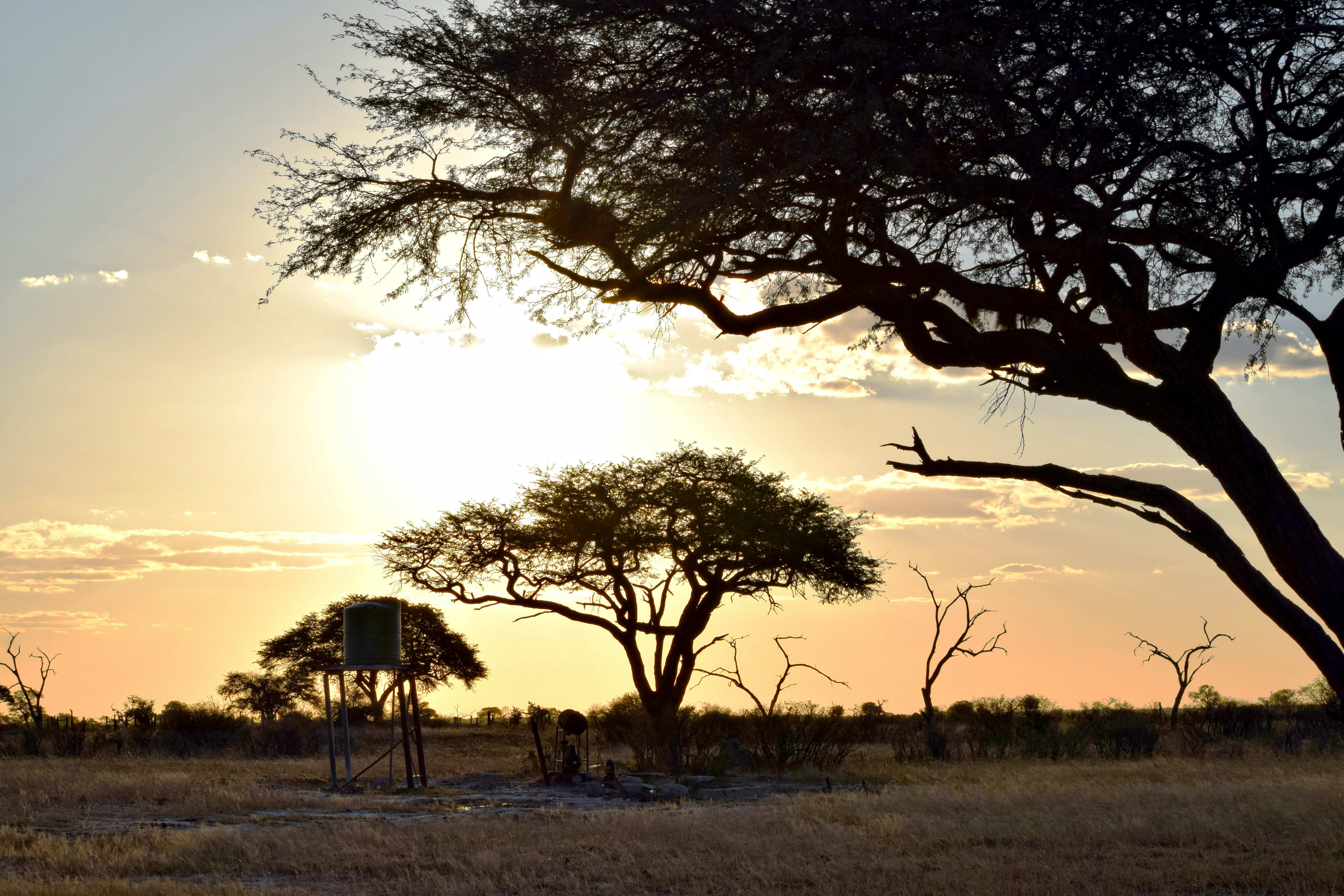 Photo by mocream_coffee