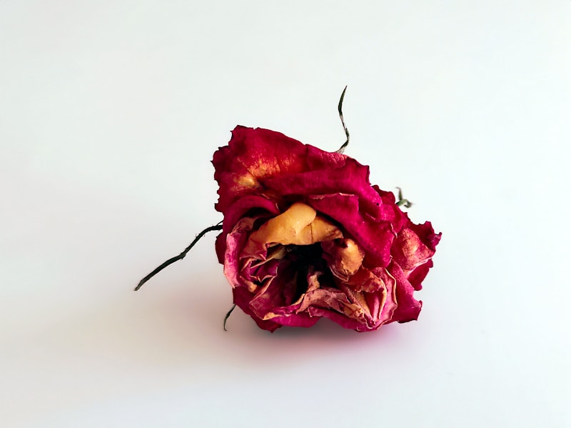 Anniversary Bouquet