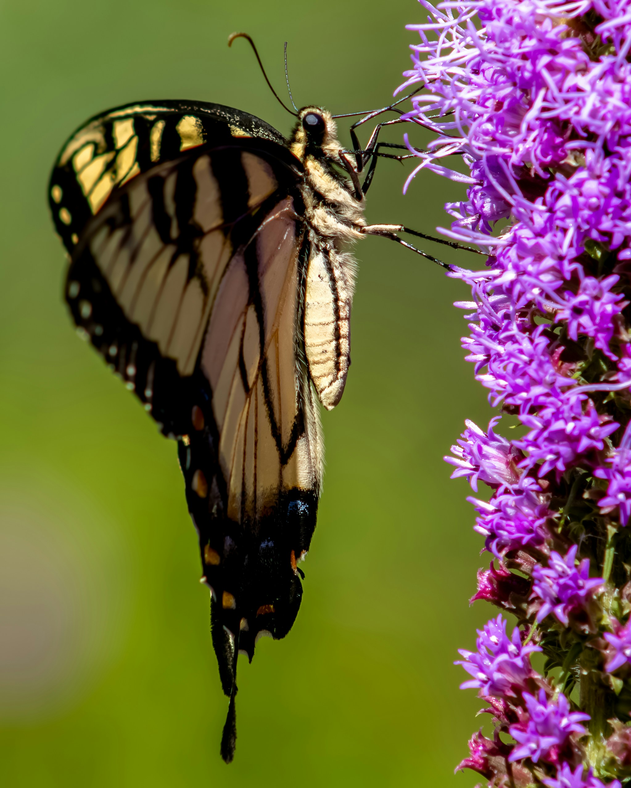 Photo by peterbbryan