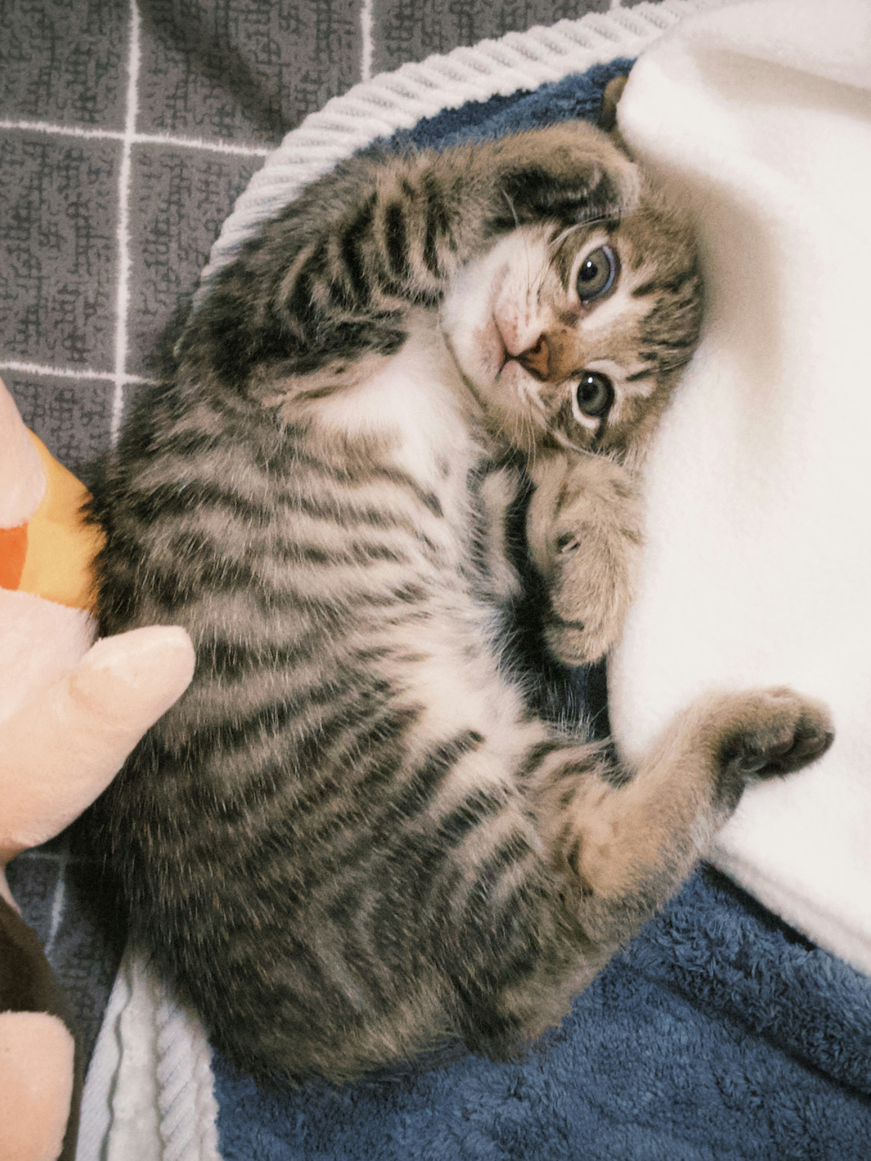 Your Bedtime Rituals (image credits: unsplash)