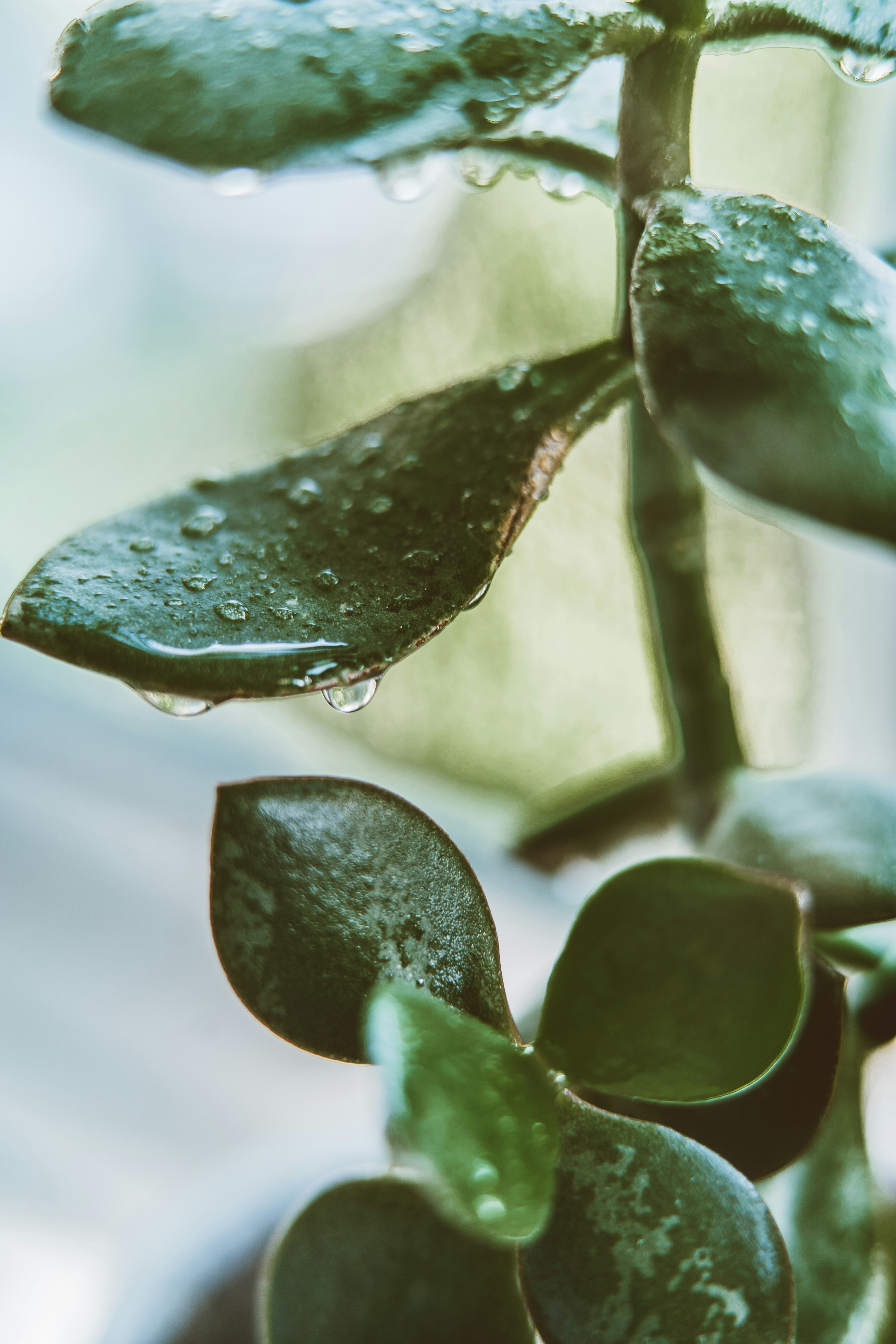 Photo by anamnesis33