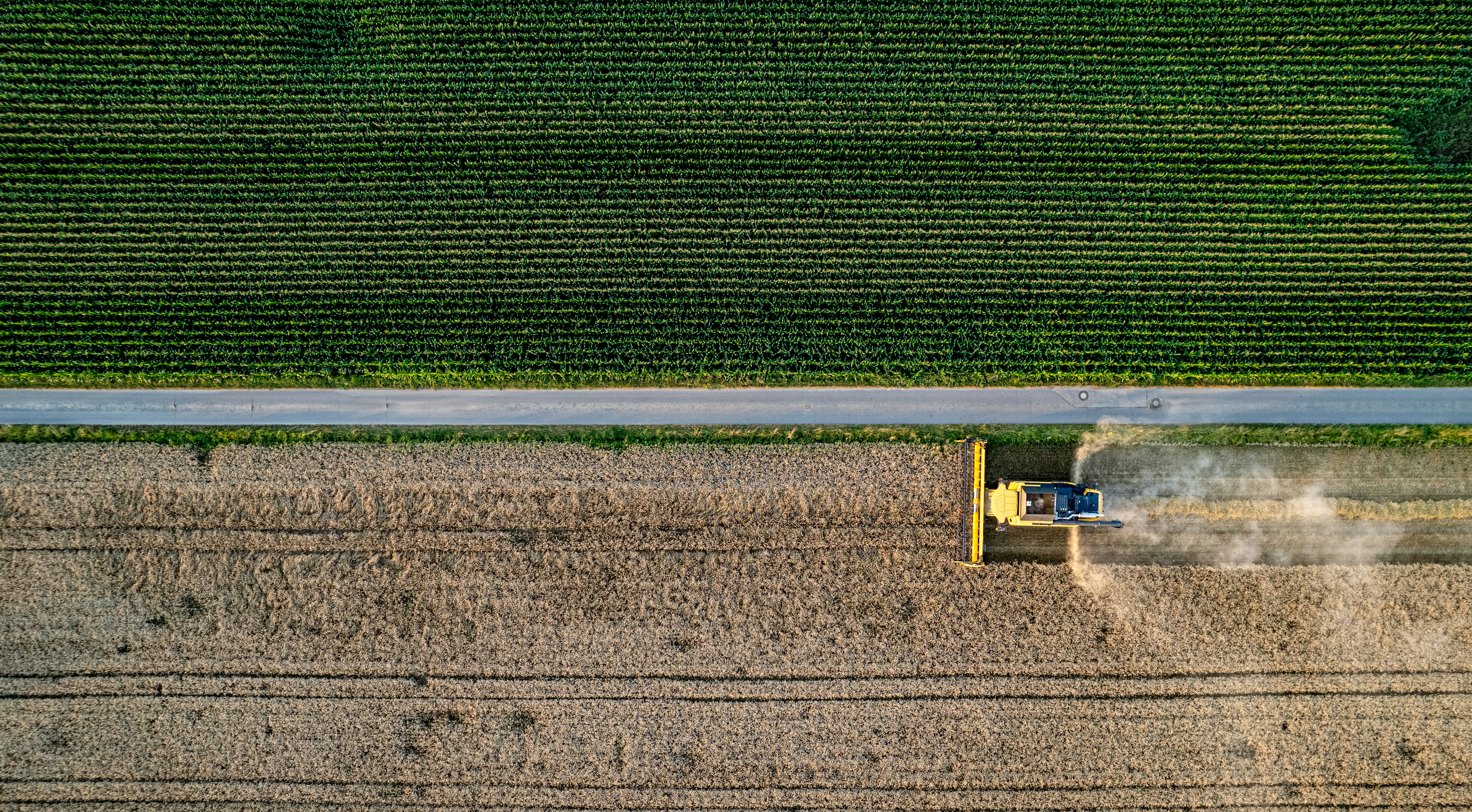 Combine harvester working in field showing crop contrast