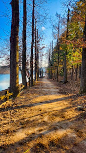 A dirt road in the woods next to a body of water
