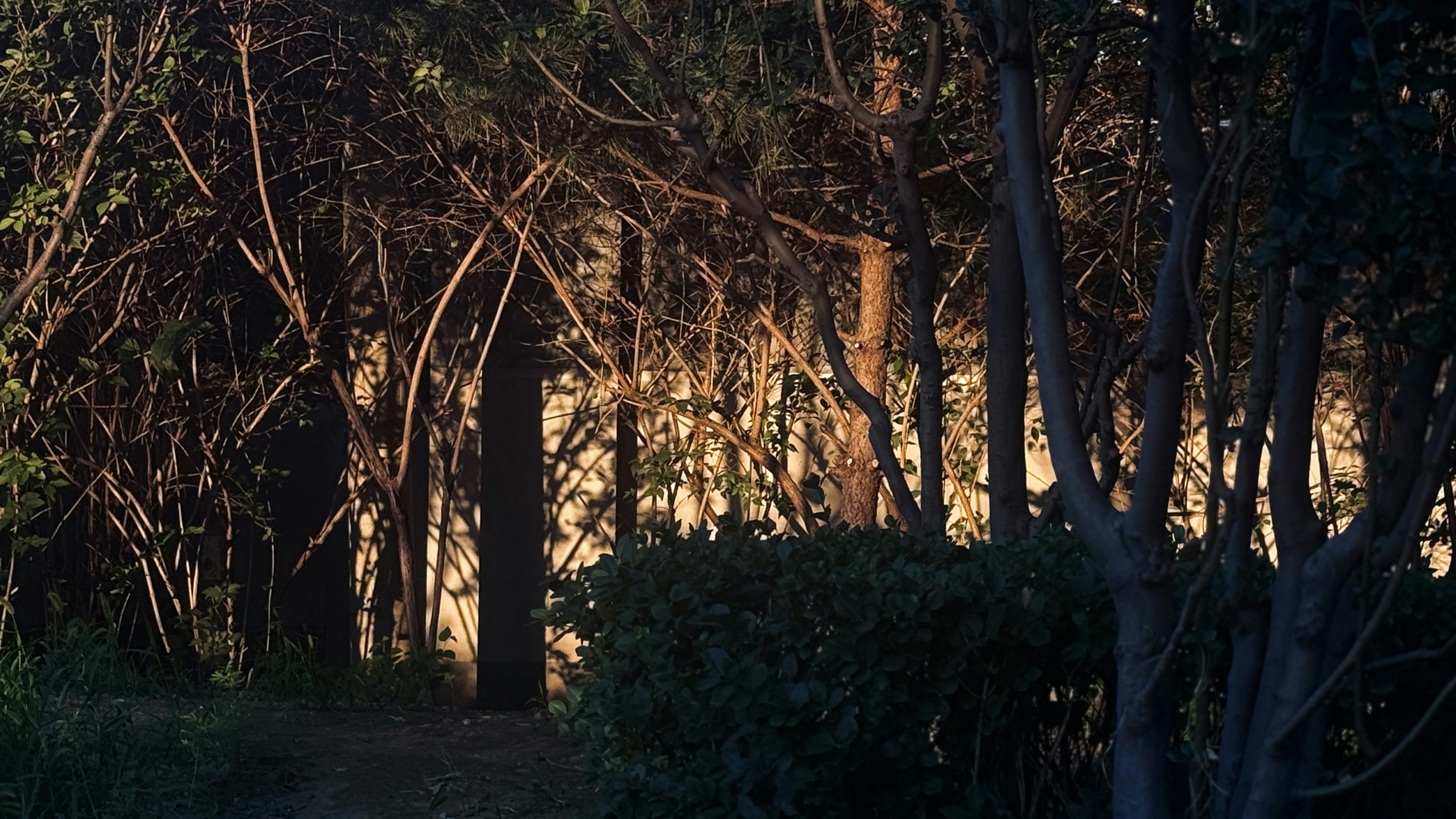 Photo by donutsurfing