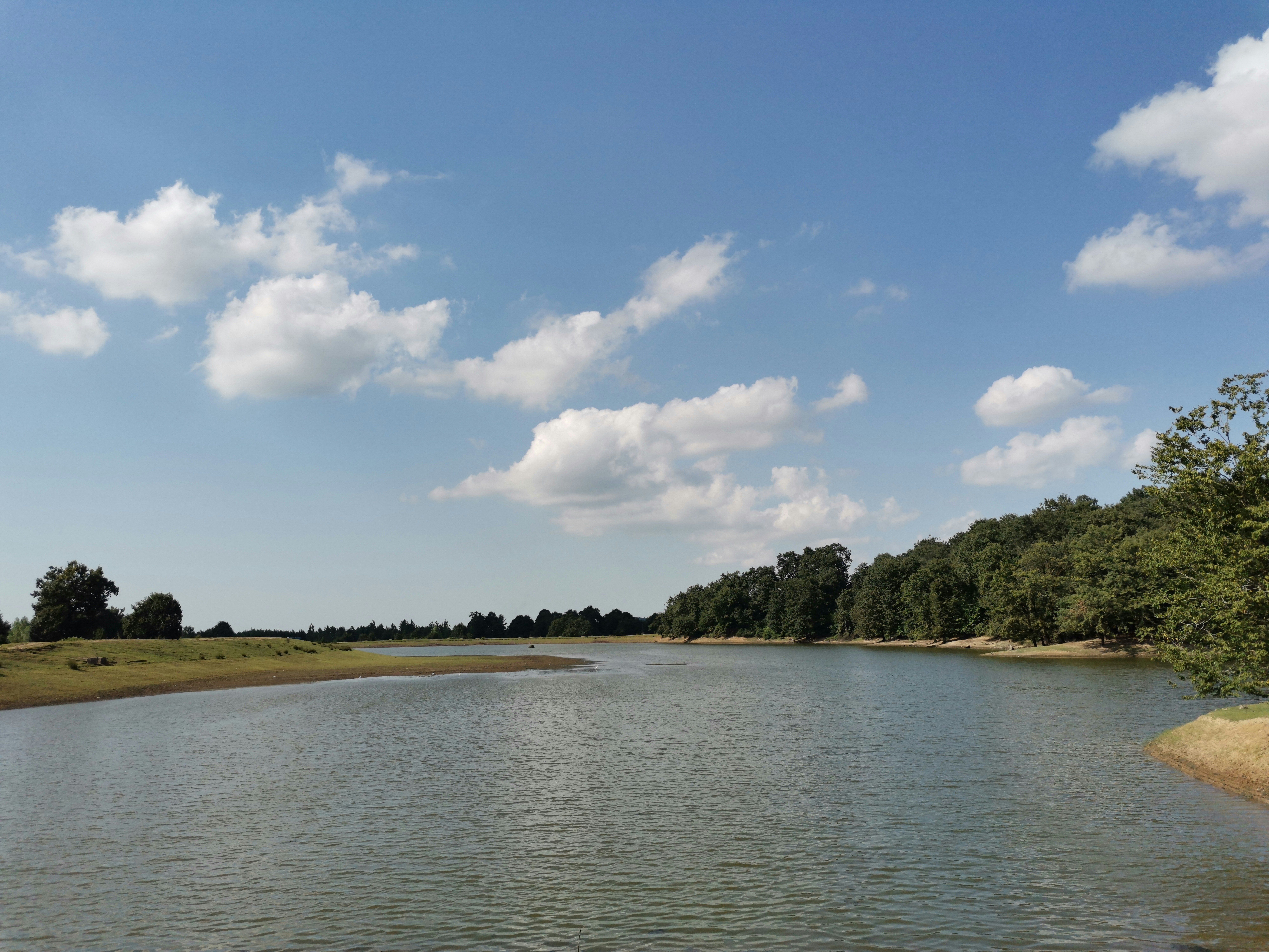 Photo by hafezinasab