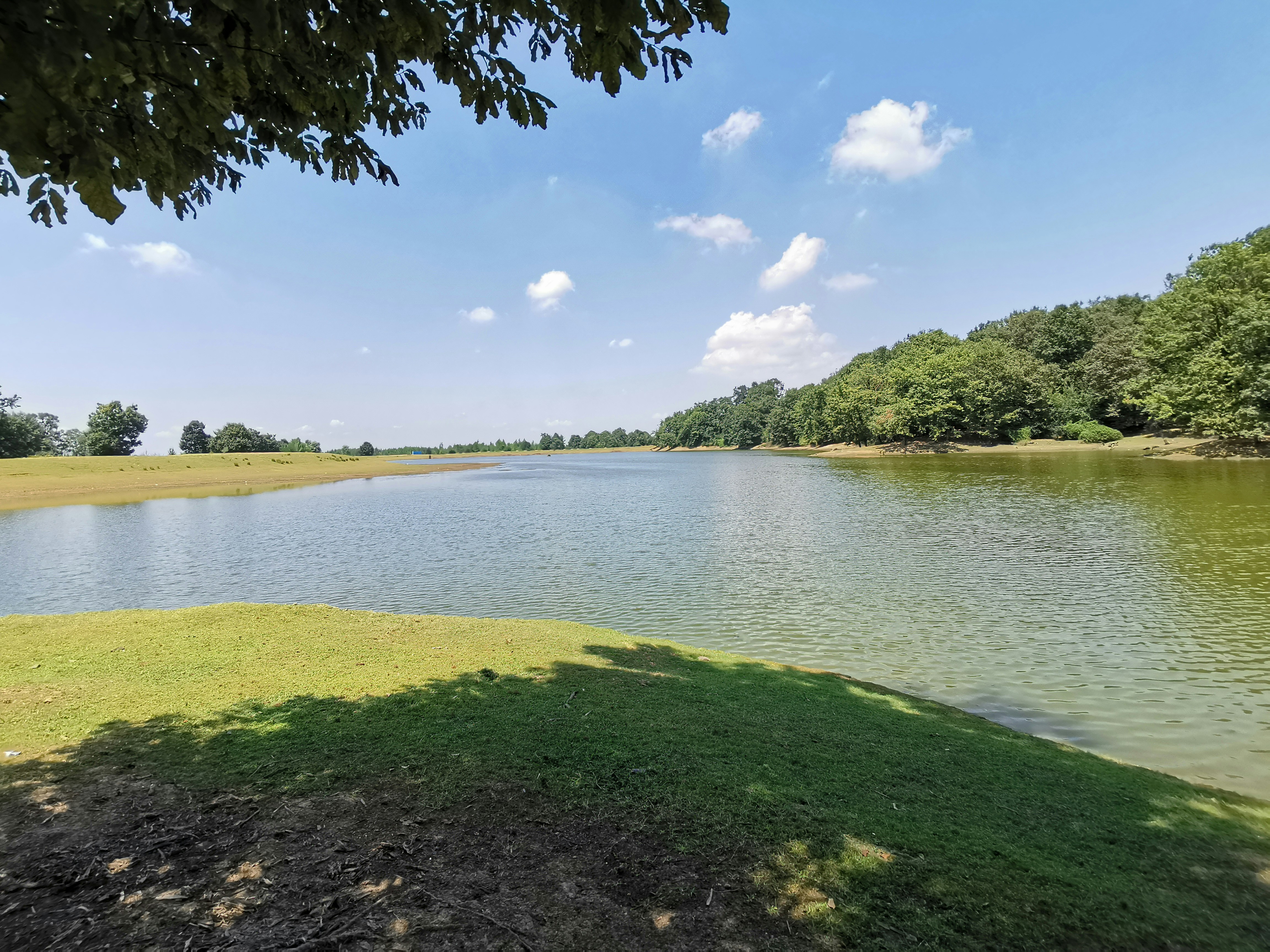 Photo by hafezinasab