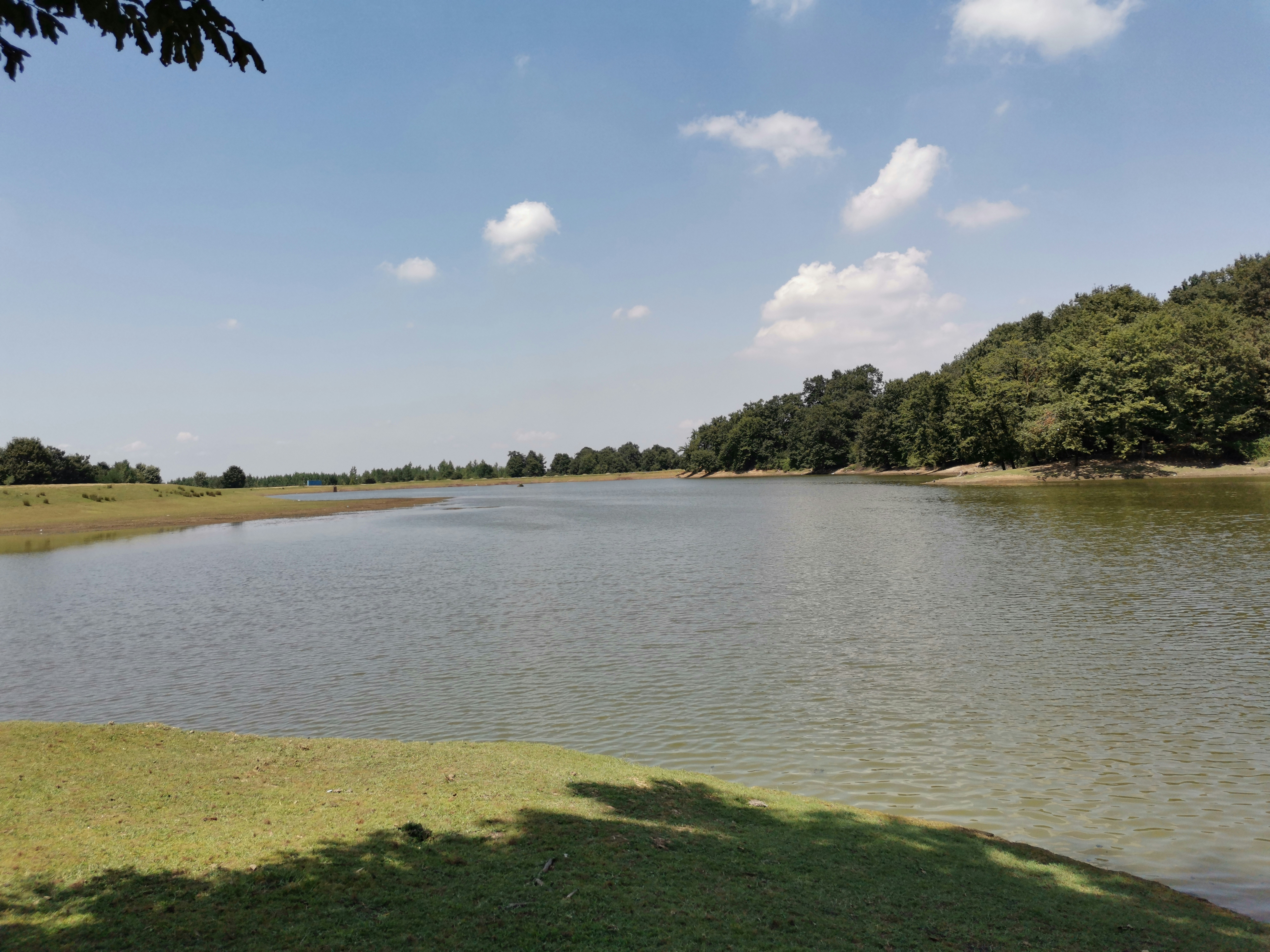 Photo by hafezinasab