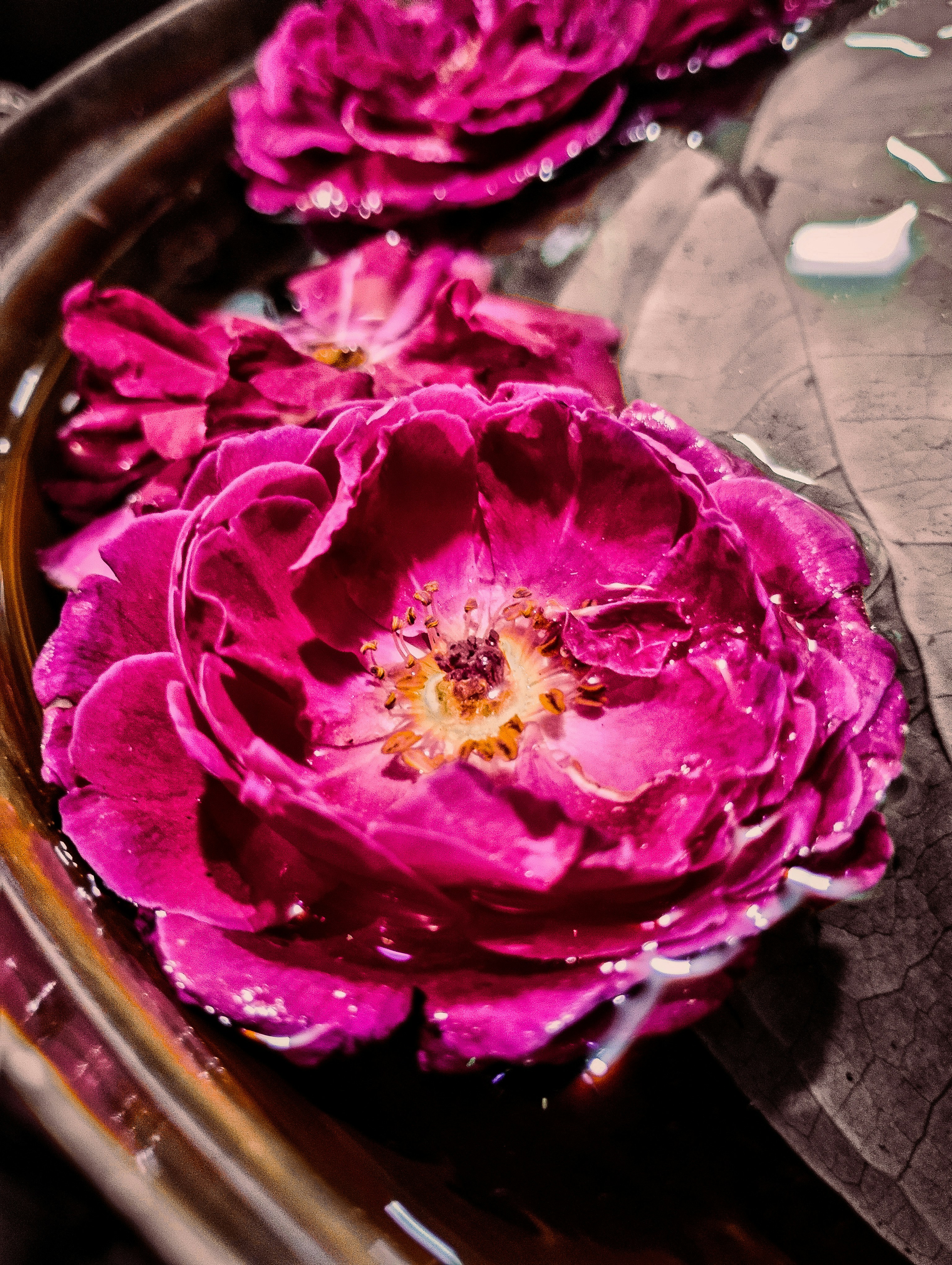 Photo by creative_af