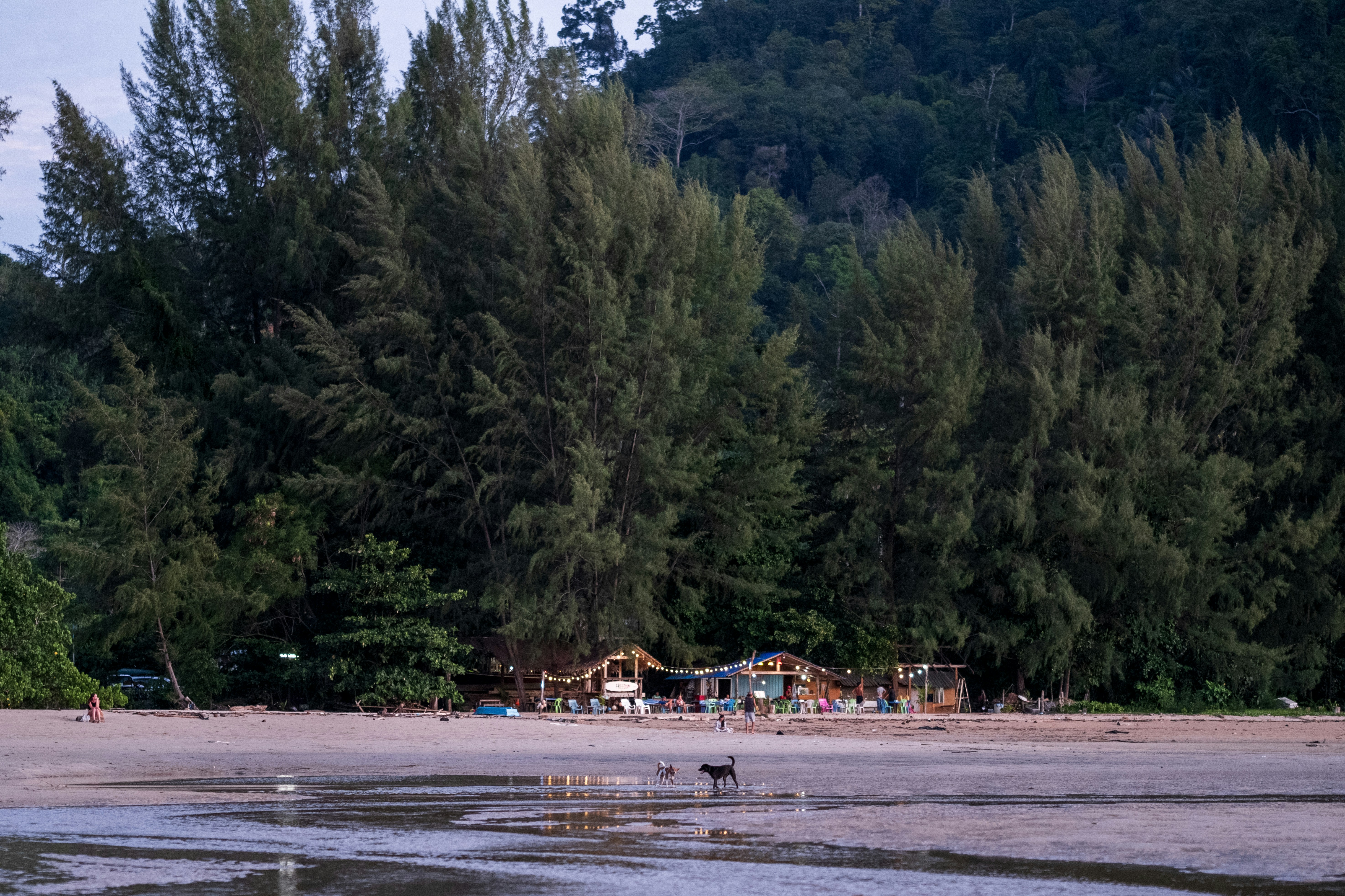 A group of people standing on top of a sandy beach