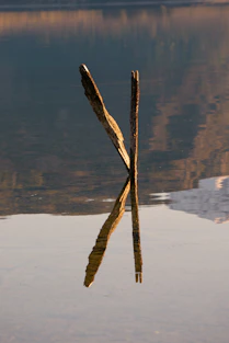 A pair of sticks sticking out of the water