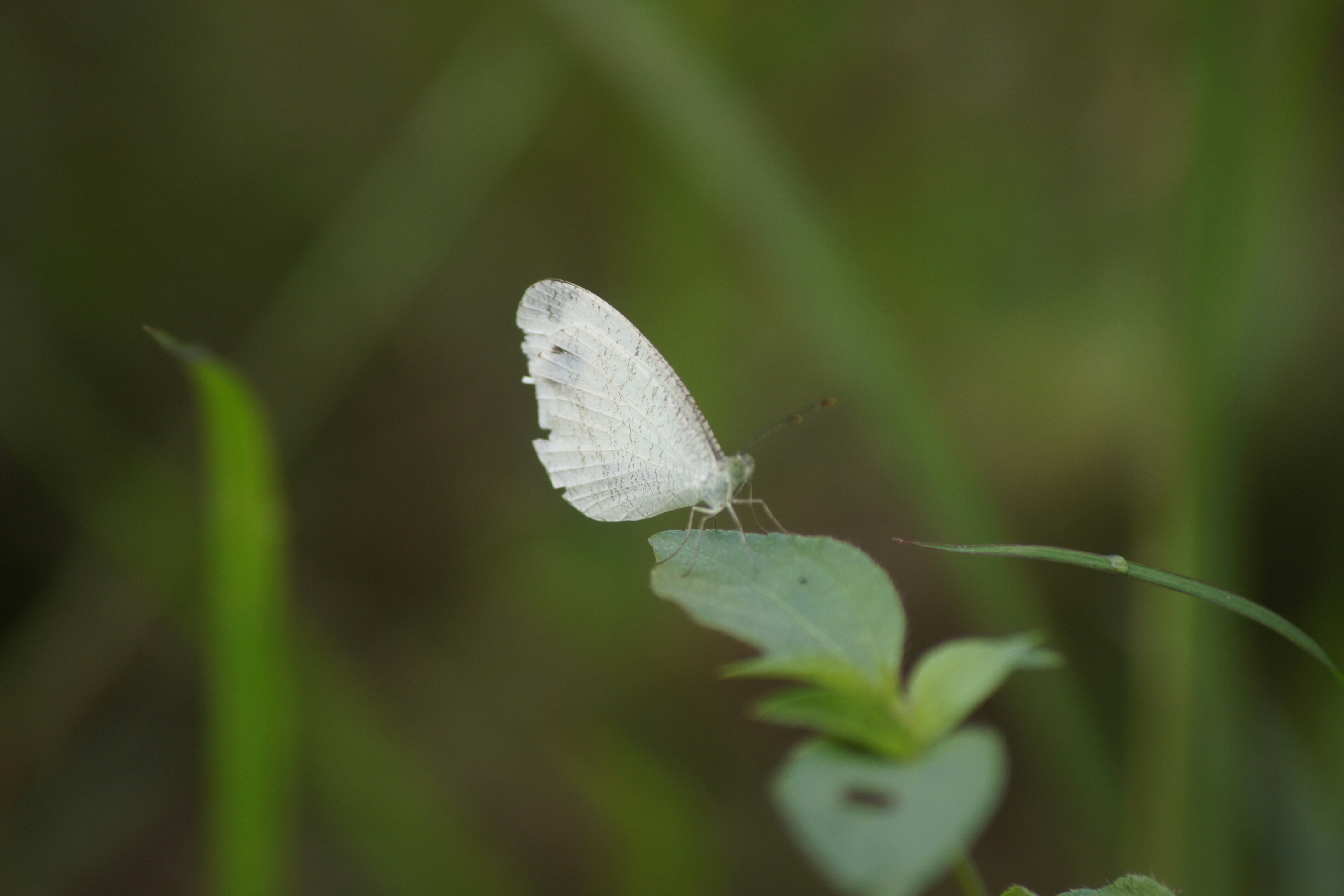 Photo by abrahamnoah