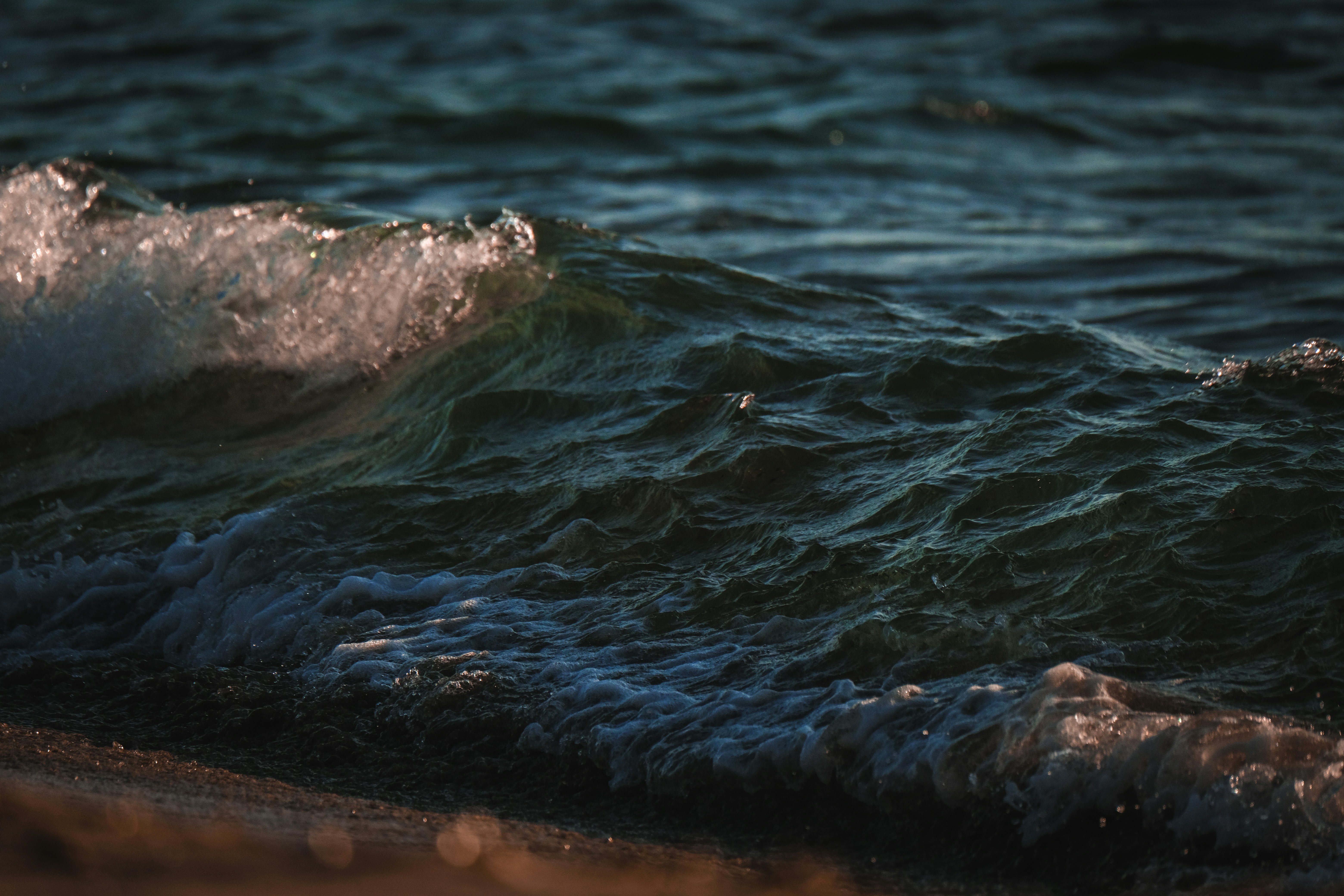 Photo by francesco_ungaro